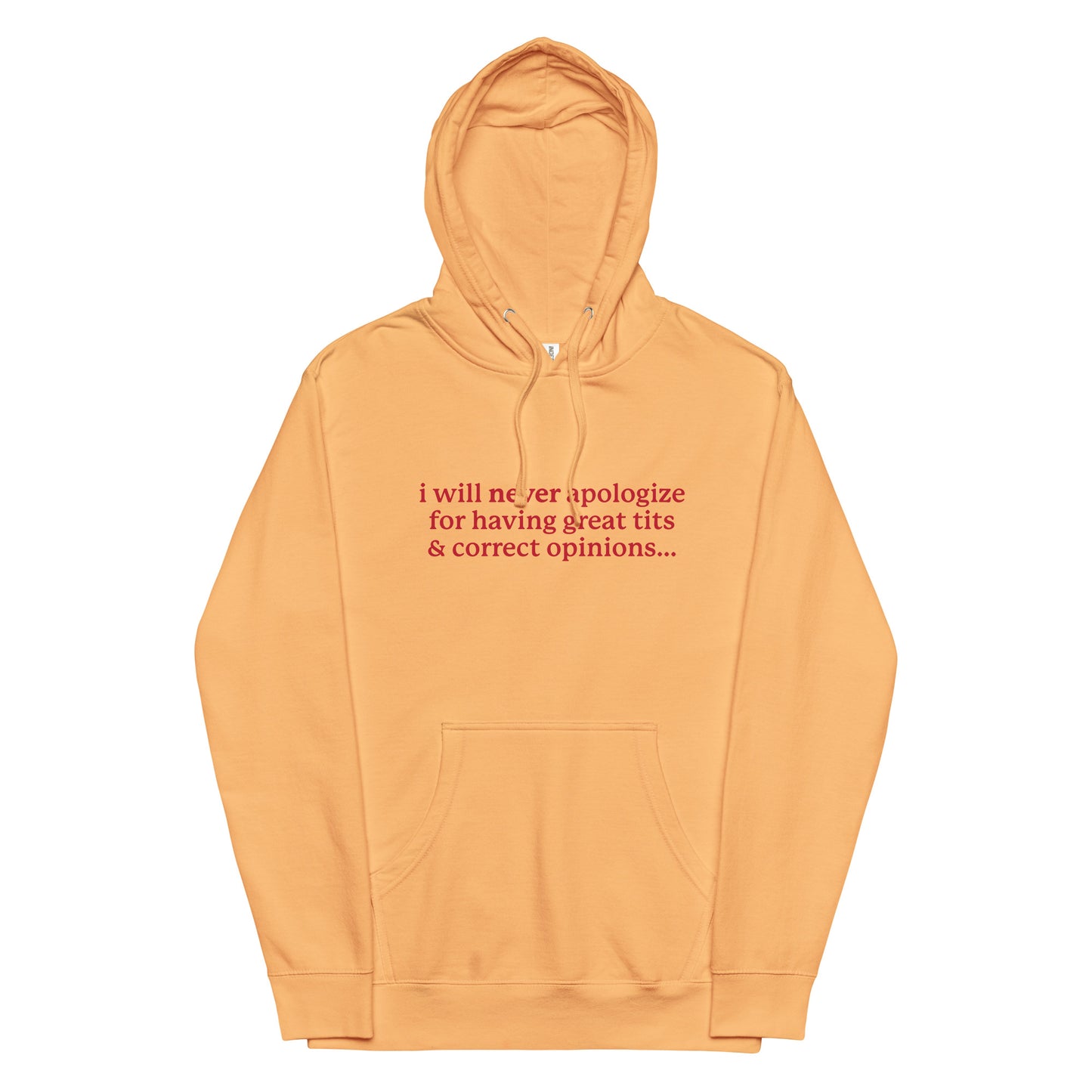 I Will Never Apologize (Great Tits & Correct Opinions) Unisex hoodie