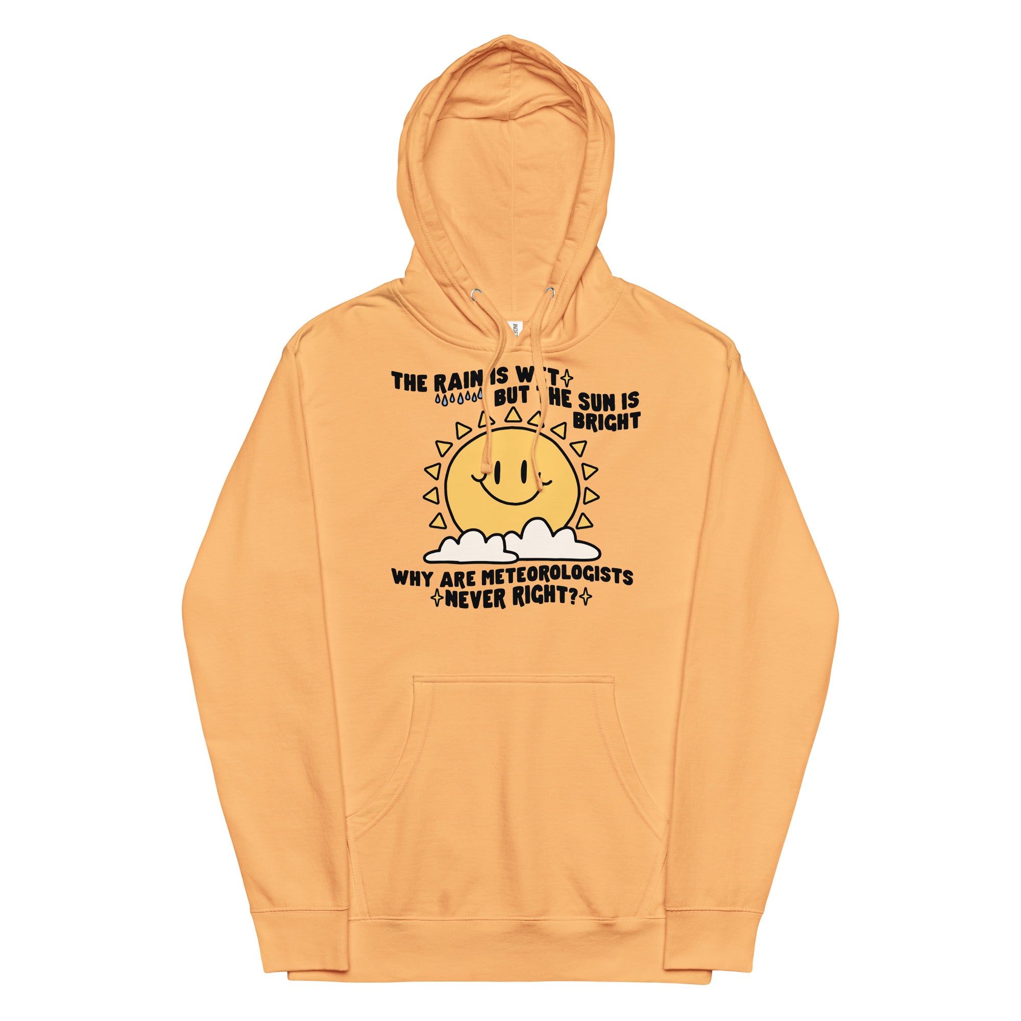 Why Are Meteorologists Never Right Unisex hoodie