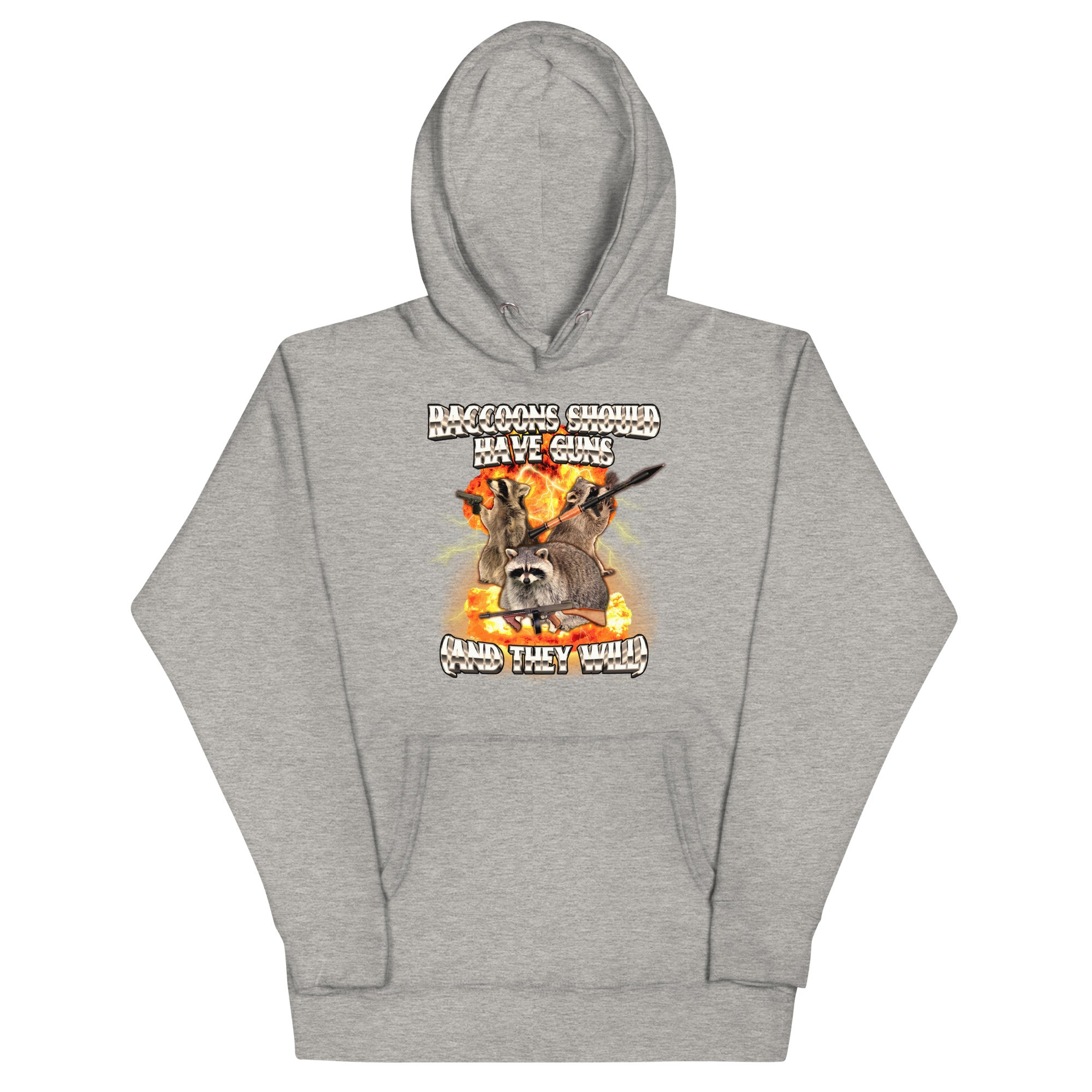 Raccoons Should Have Guns Unisex Hoodie