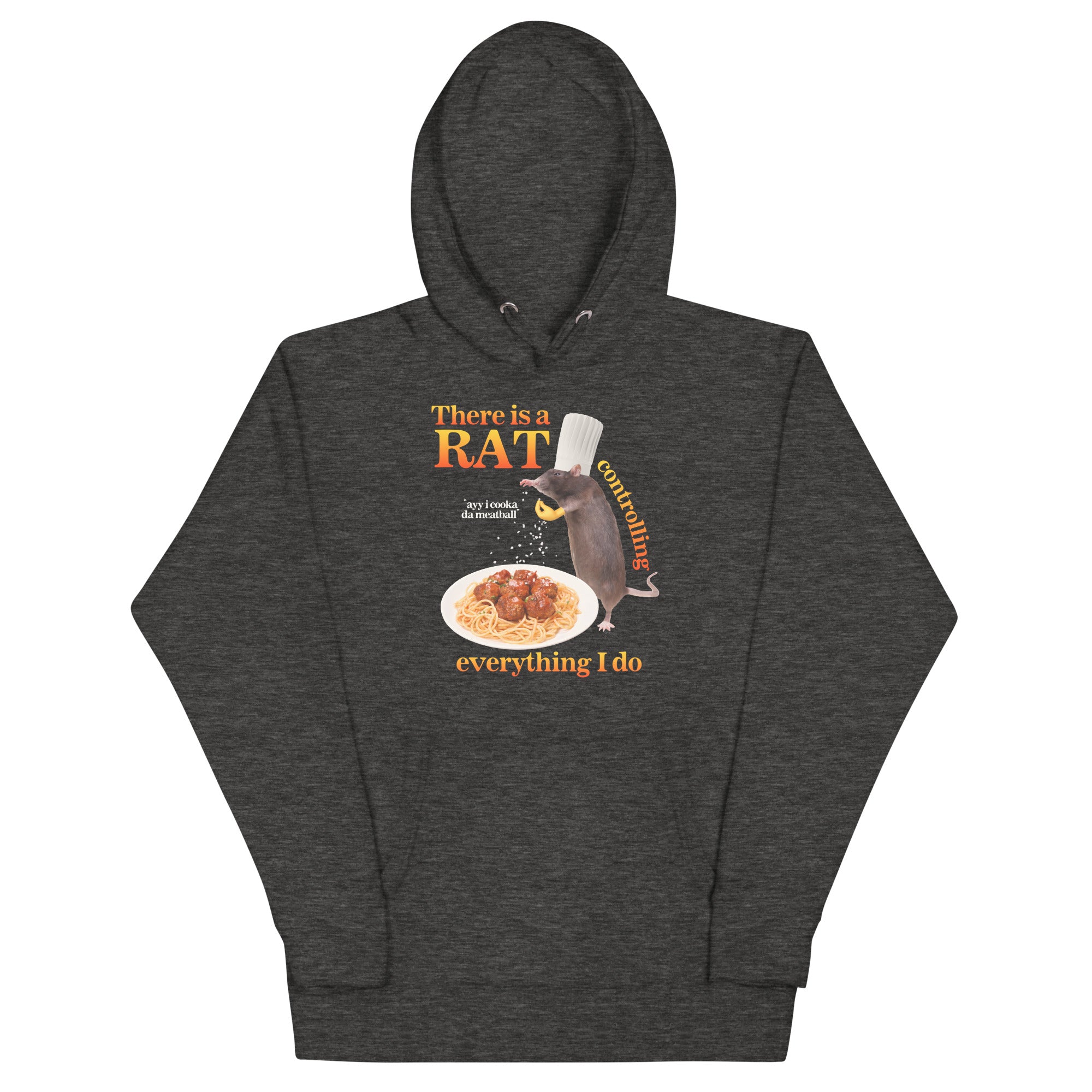 There Is A Rat Controlling Everything Unisex Hoodie