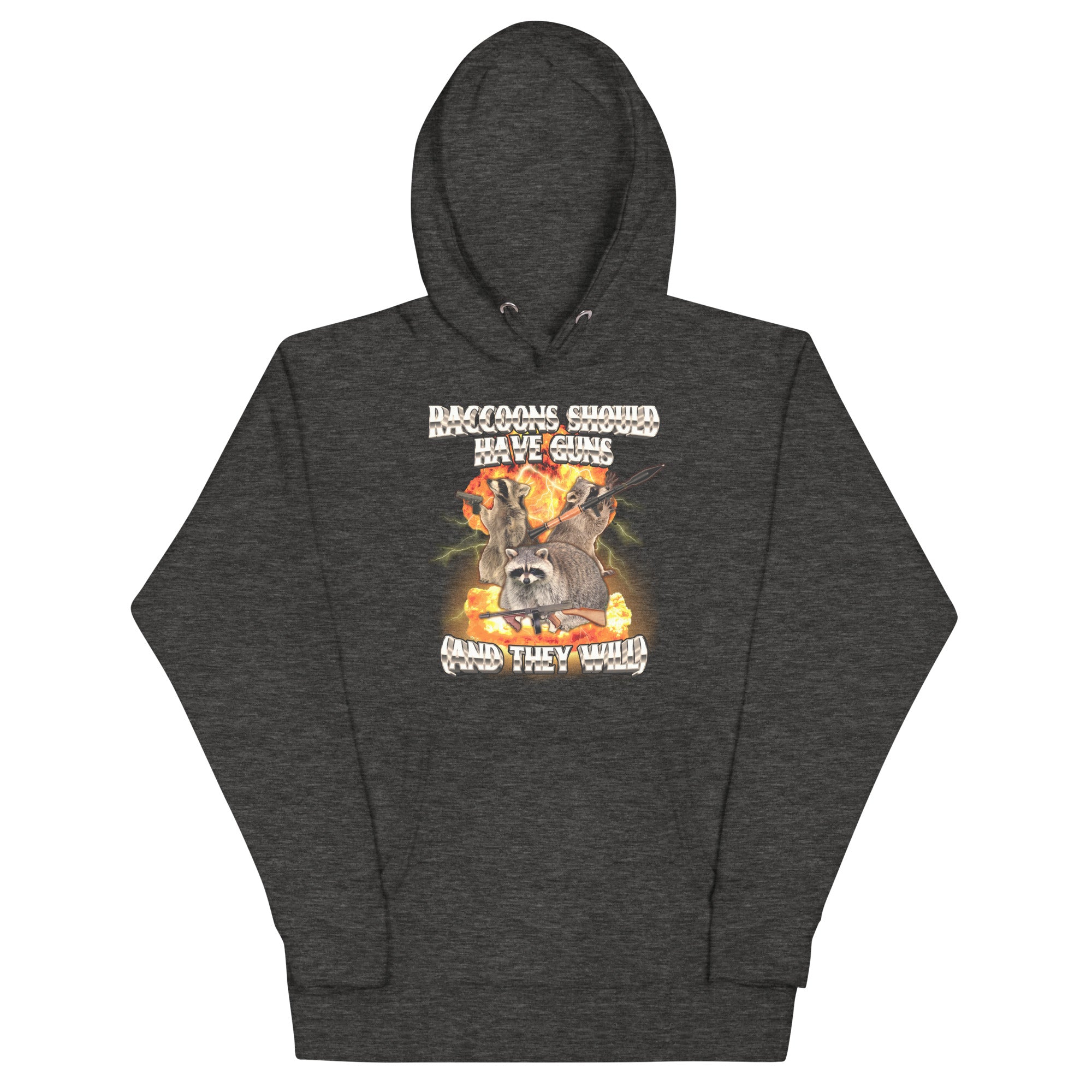 Raccoons Should Have Guns Unisex Hoodie