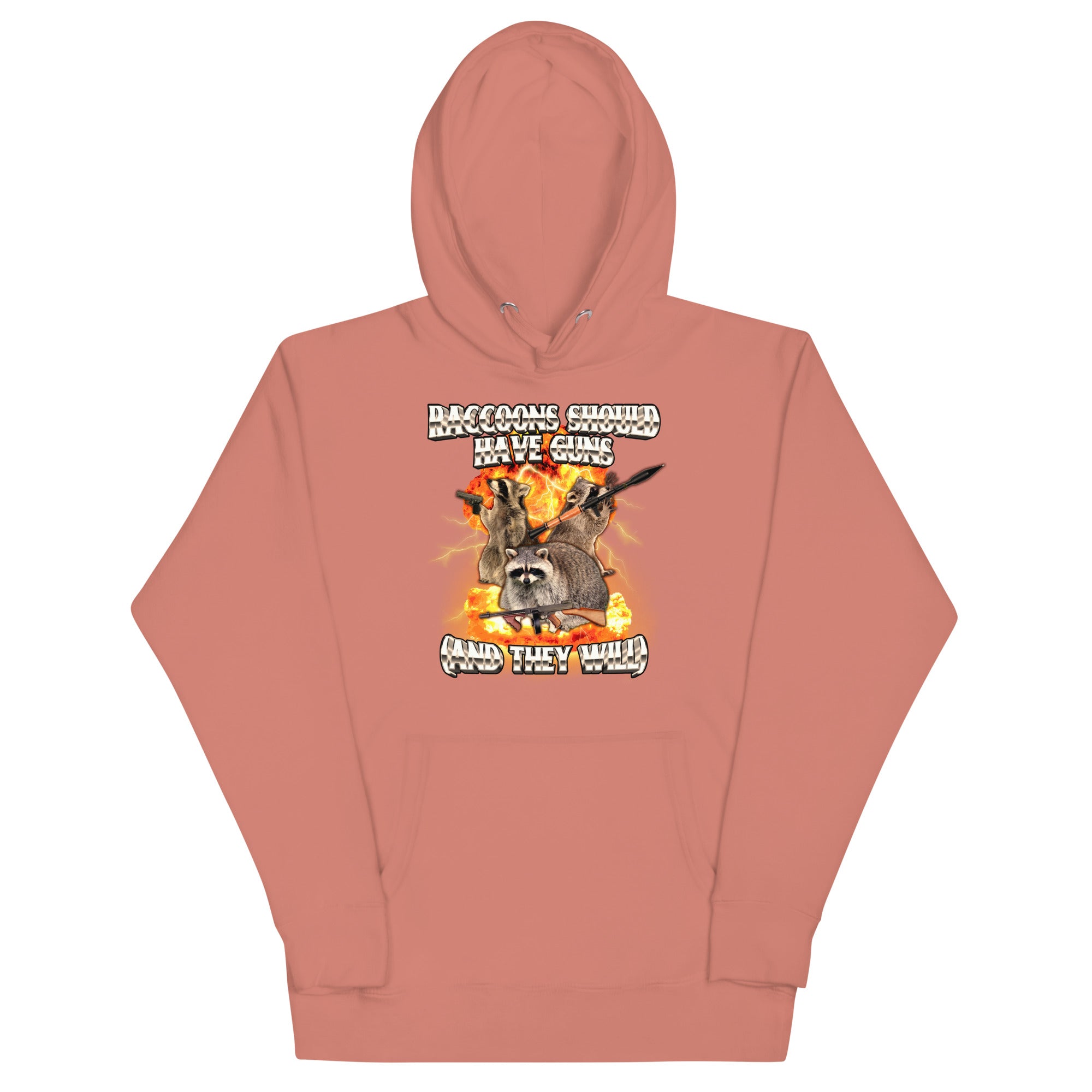 Raccoons Should Have Guns Unisex Hoodie