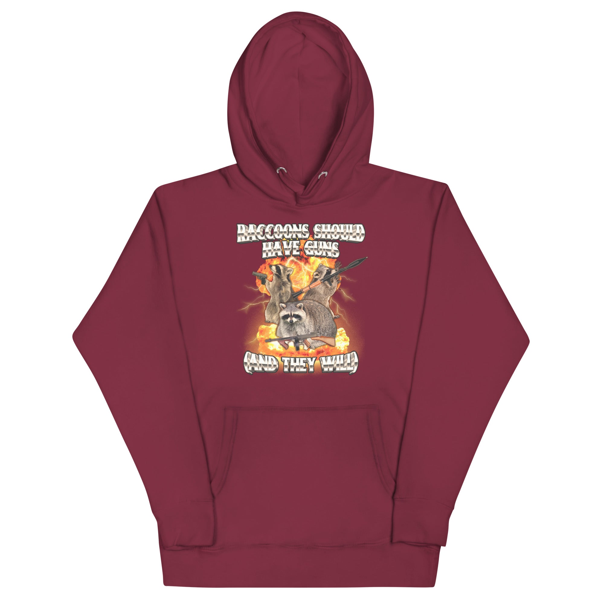 Raccoons Should Have Guns Unisex Hoodie