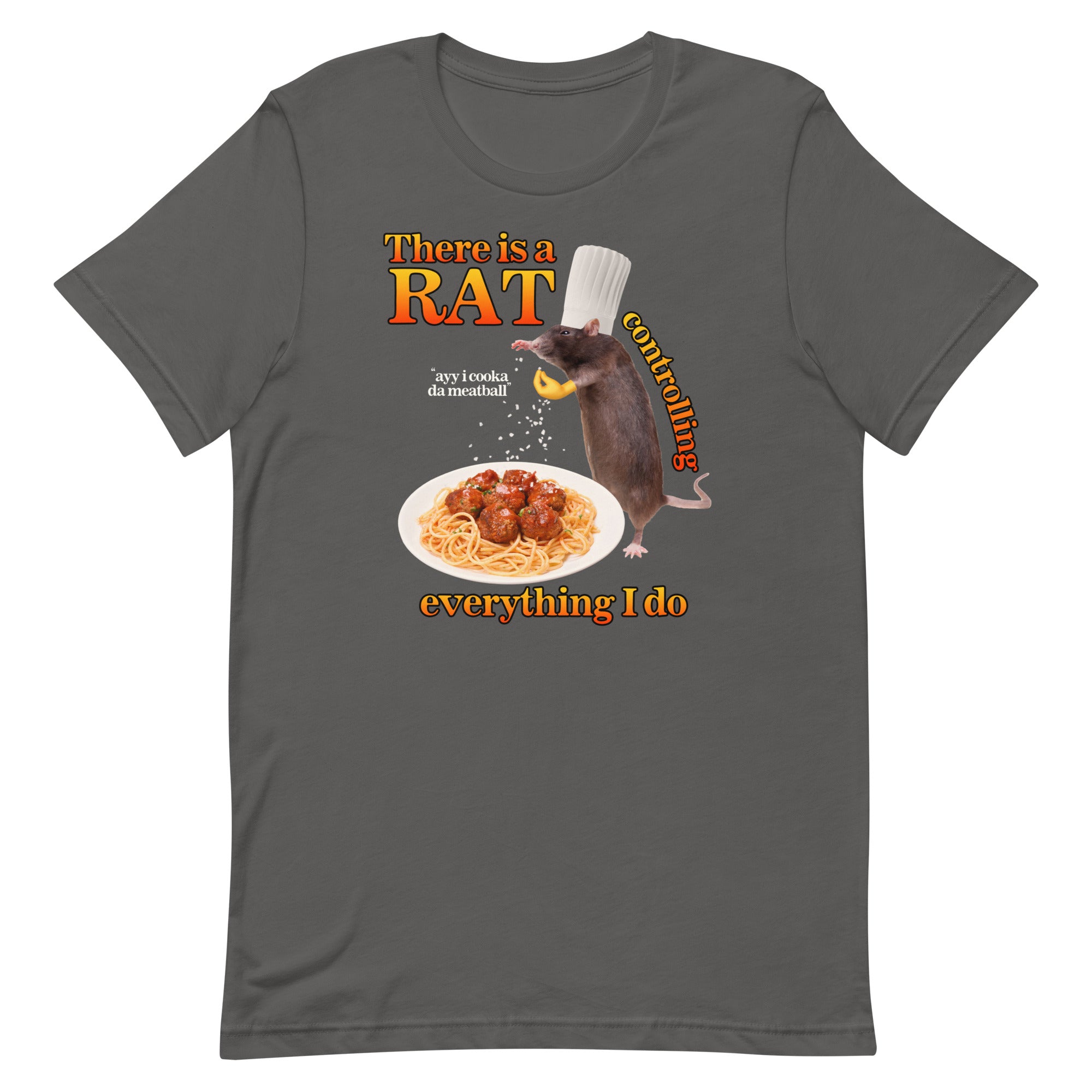 There Is A Rat Controlling Everything Unisex t-shirt