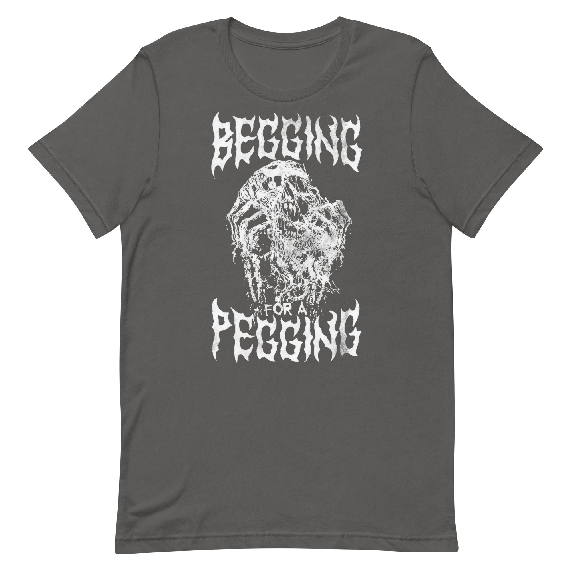 Begging for a Pegging Unisex t-shirt