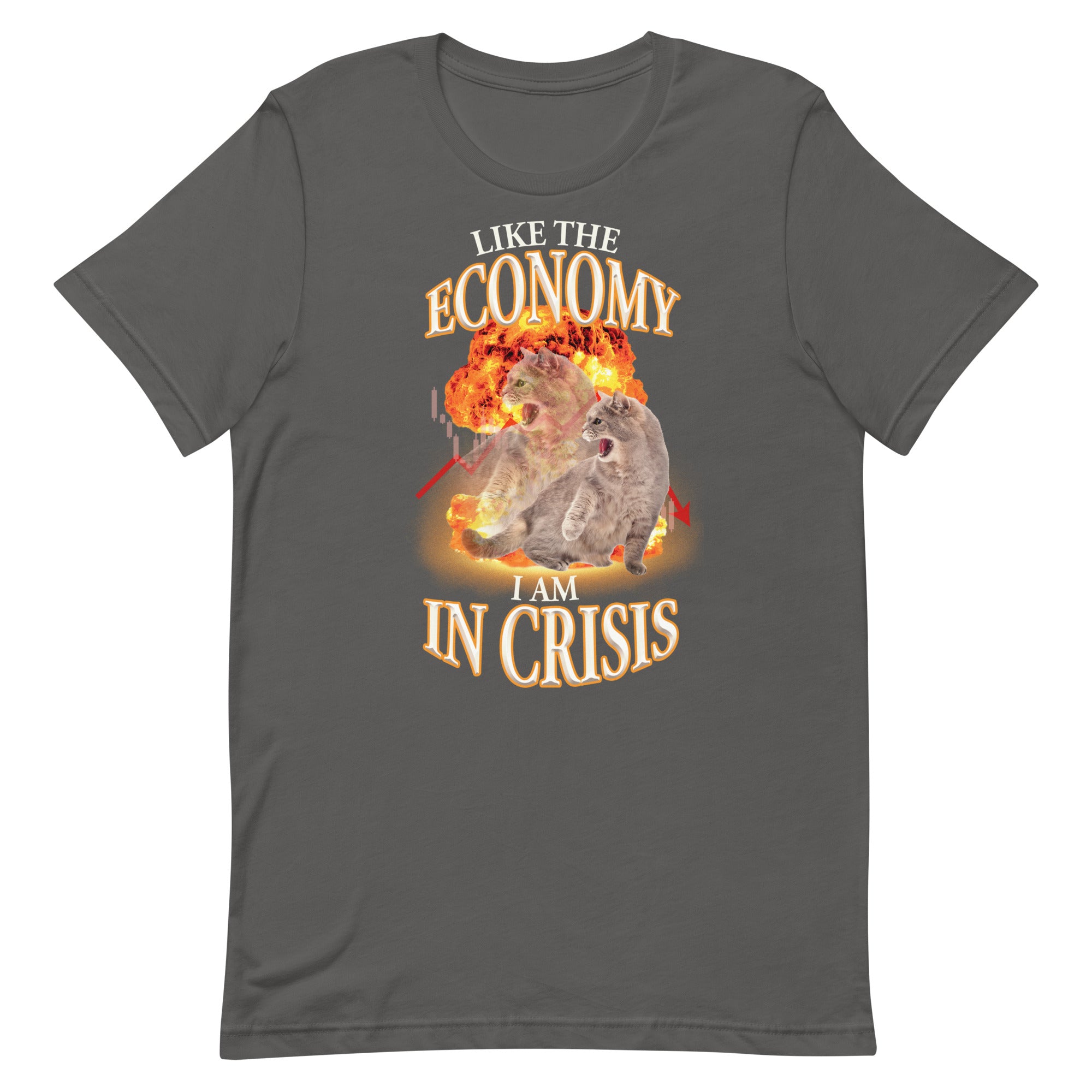 Like the Economy I Am in Crisis Unisex t-shirt