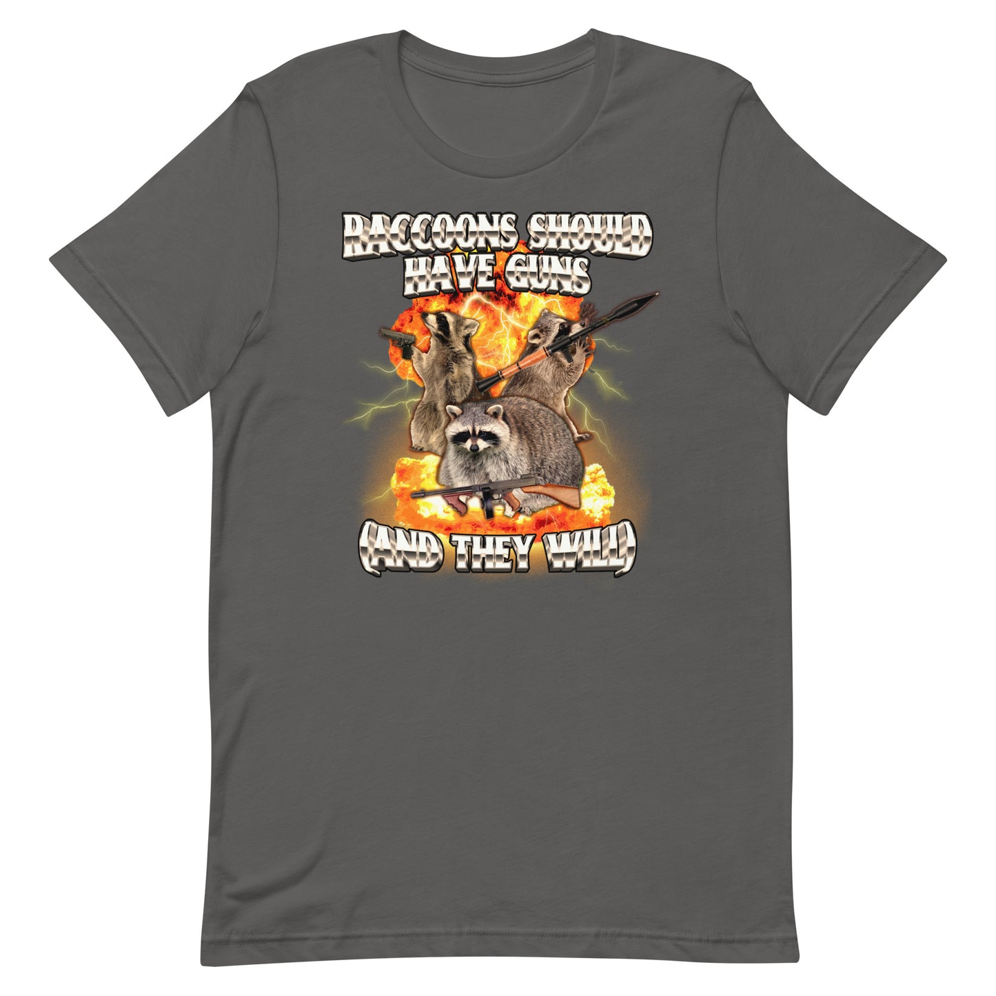 Raccoons Should Have Guns Unisex t-shirt