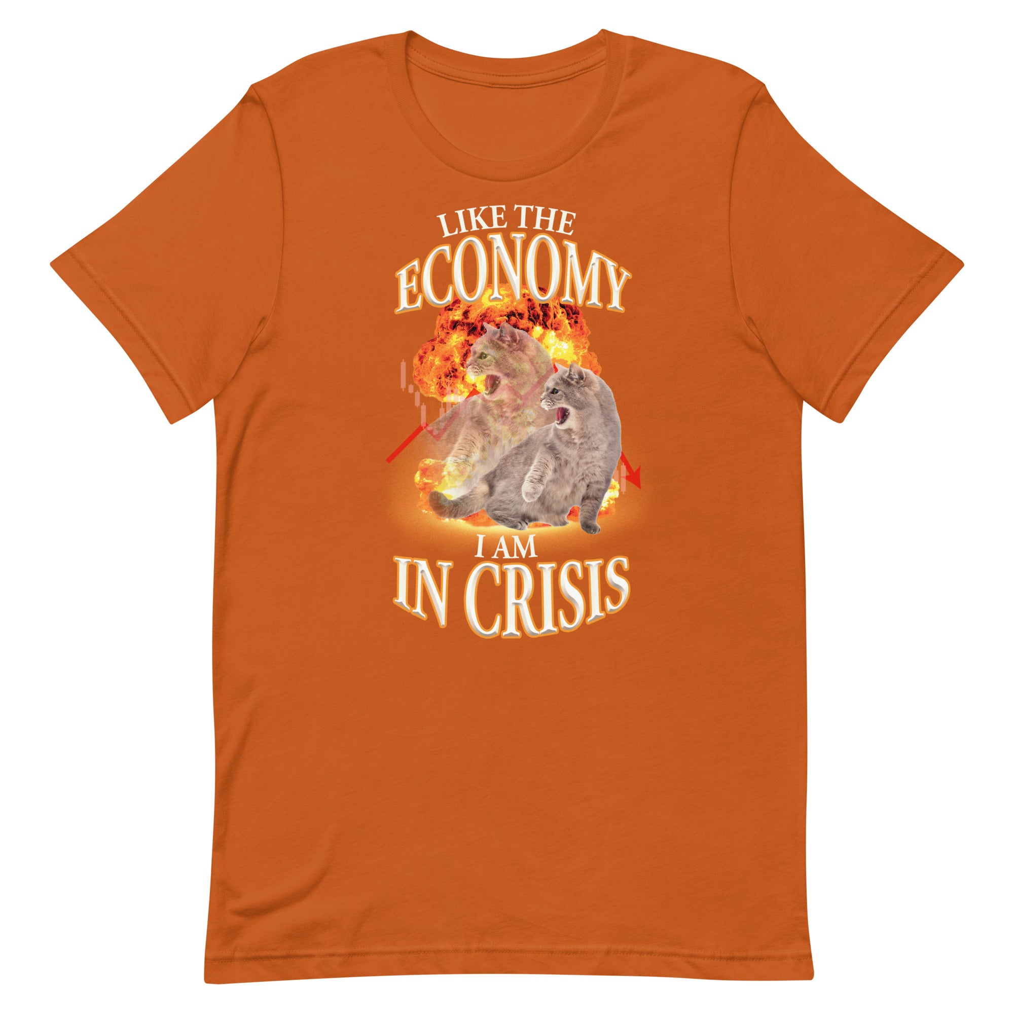 Like the Economy I Am in Crisis Unisex t-shirt