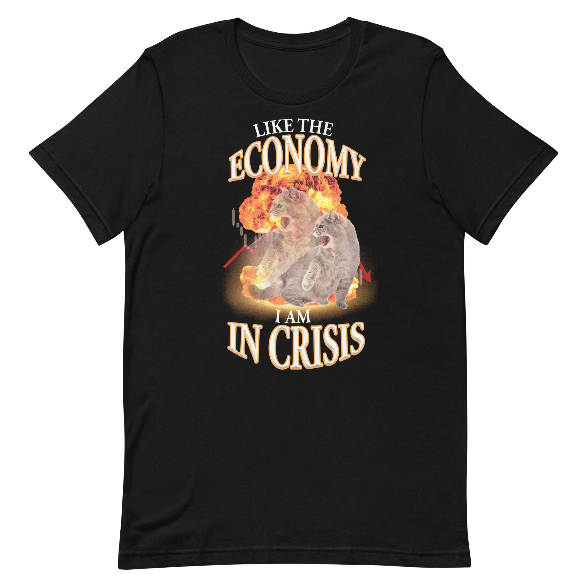 Like the Economy I Am in Crisis Unisex t-shirt