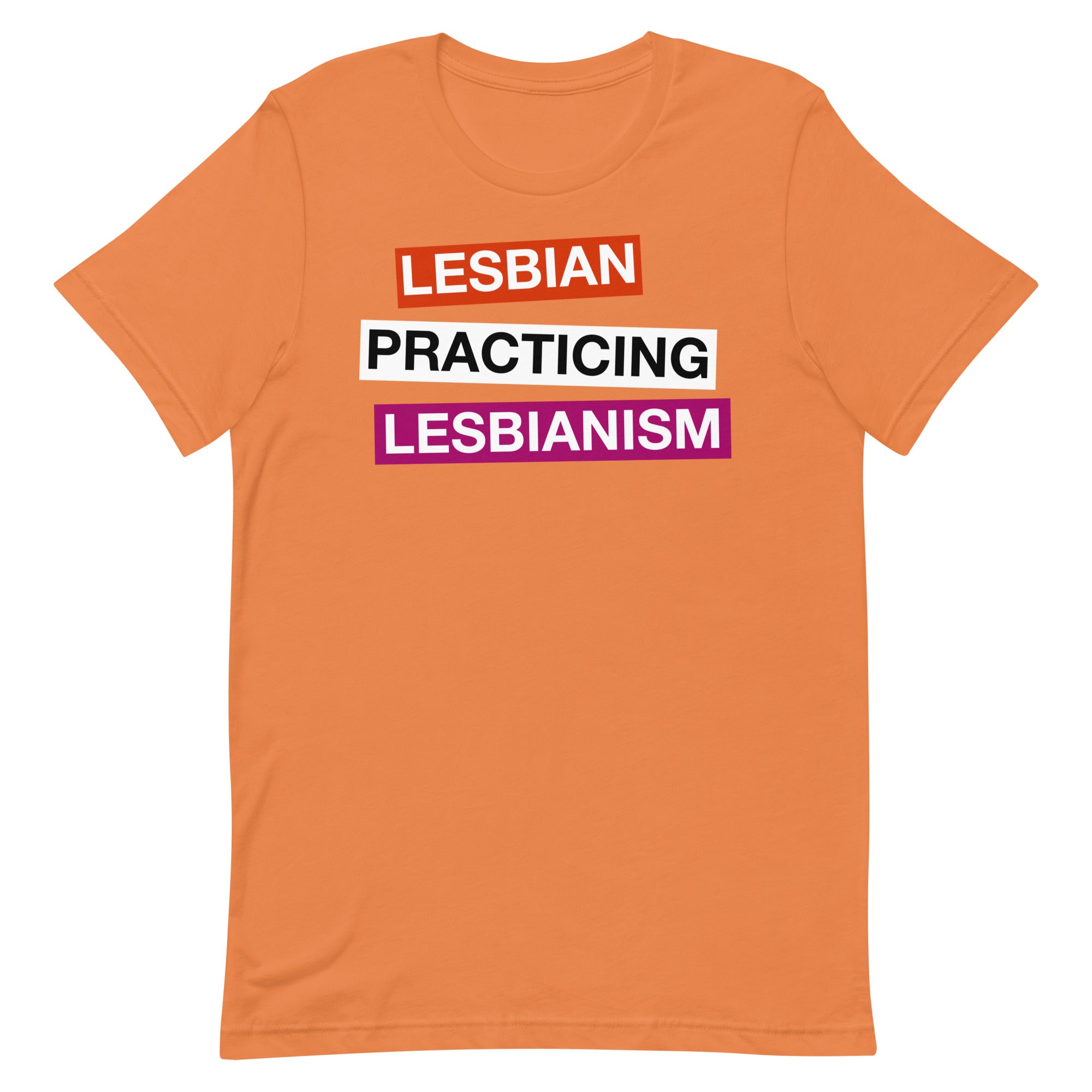 Lesbian Practicing Lesbianism (Version 2) Unisex t-shirt