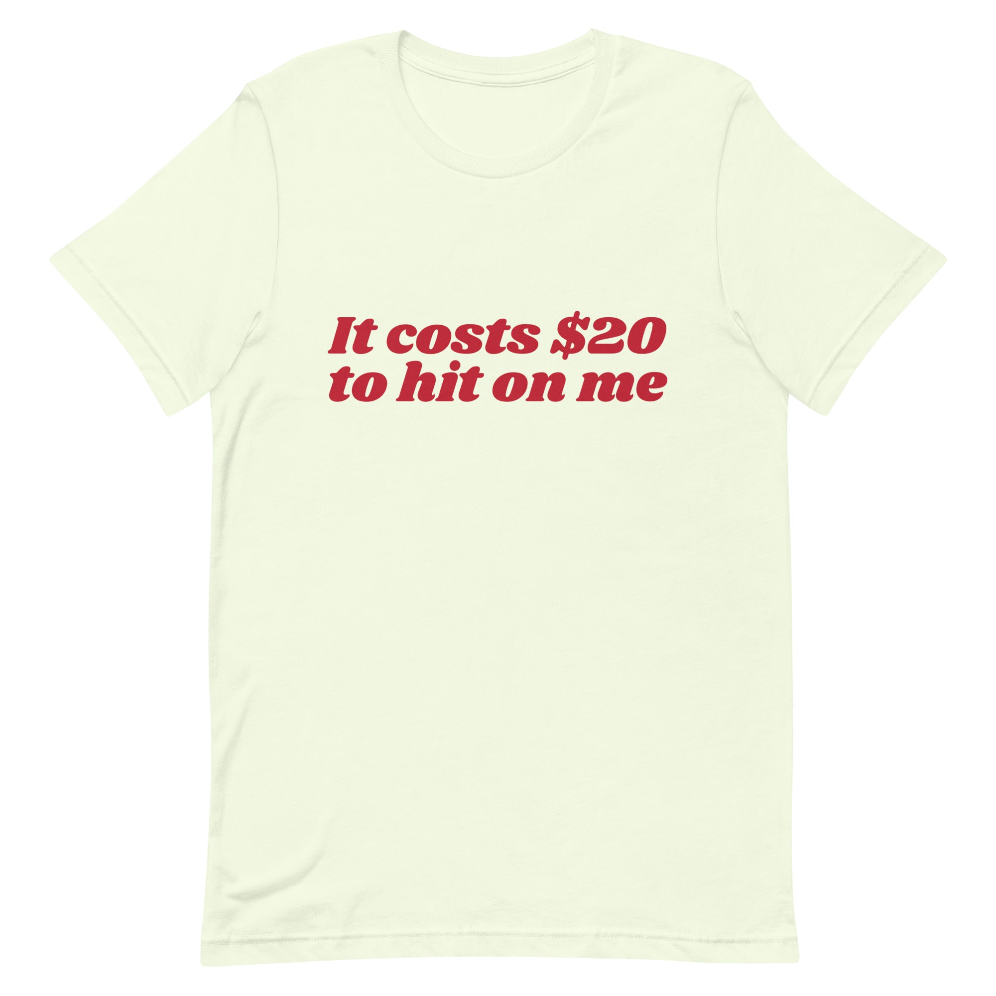 It Costs $20 to Hit on Me Unisex t-shirt