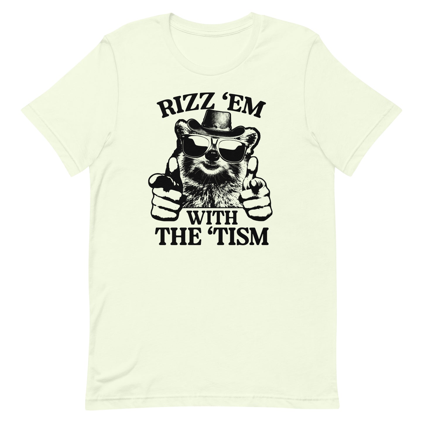 Rizz 'Em With the 'Tism (Raccoon) Unisex t-shirt