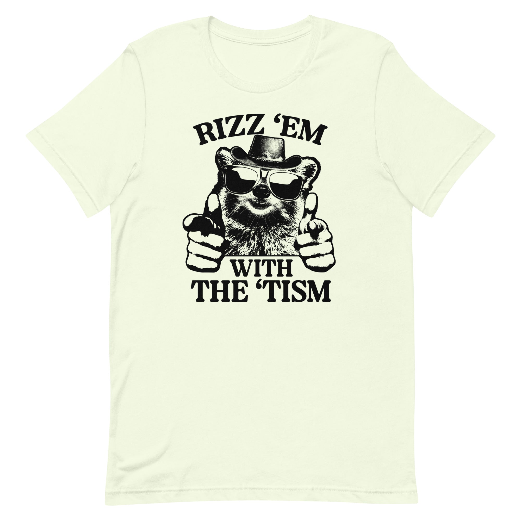 Rizz 'Em With the 'Tism (Raccoon) Unisex t-shirt