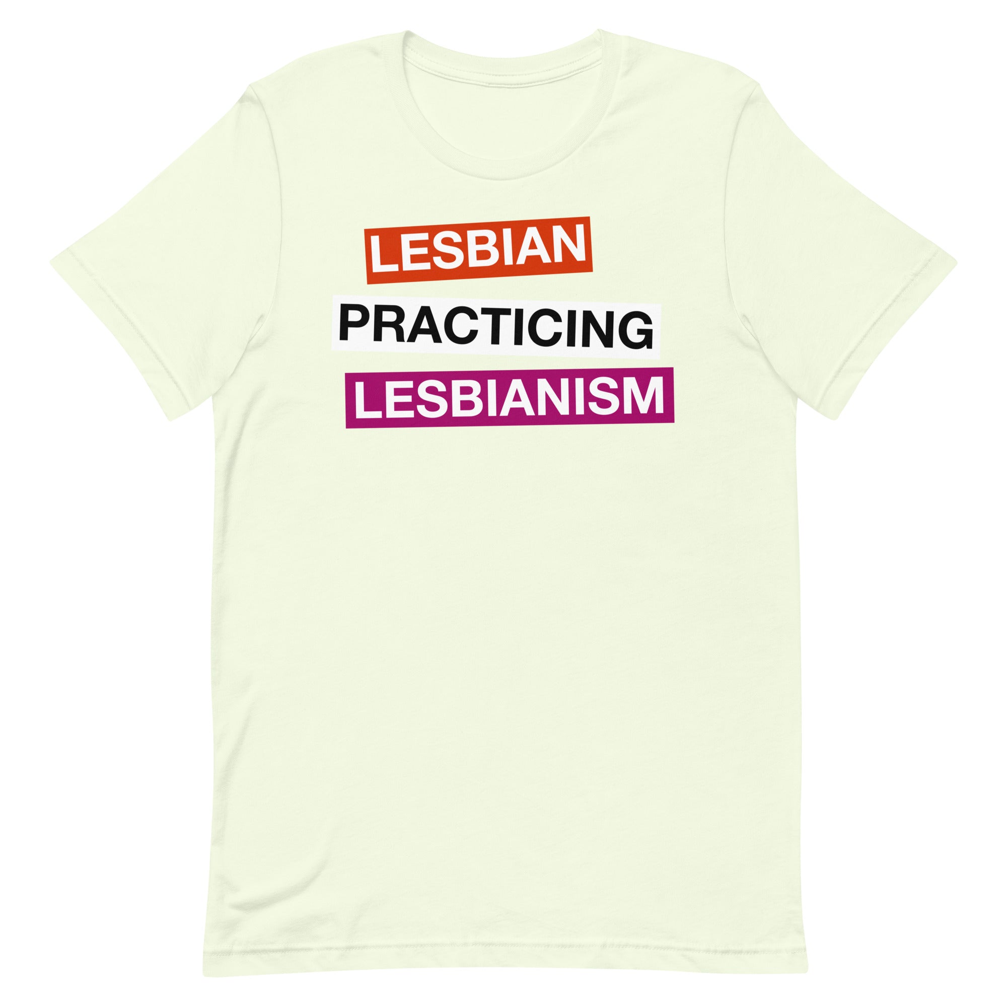 Lesbian Practicing Lesbianism (Version 2) Unisex t-shirt