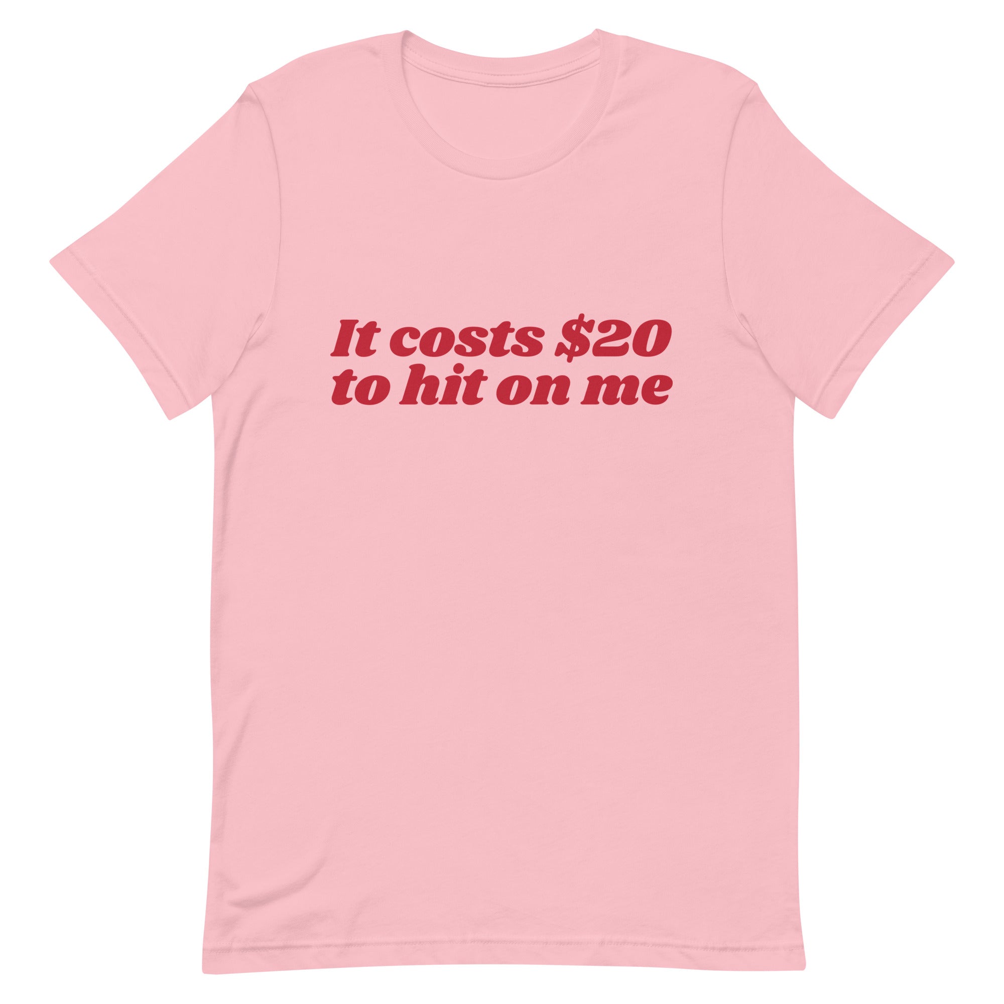 It Costs $20 to Hit on Me Unisex t-shirt