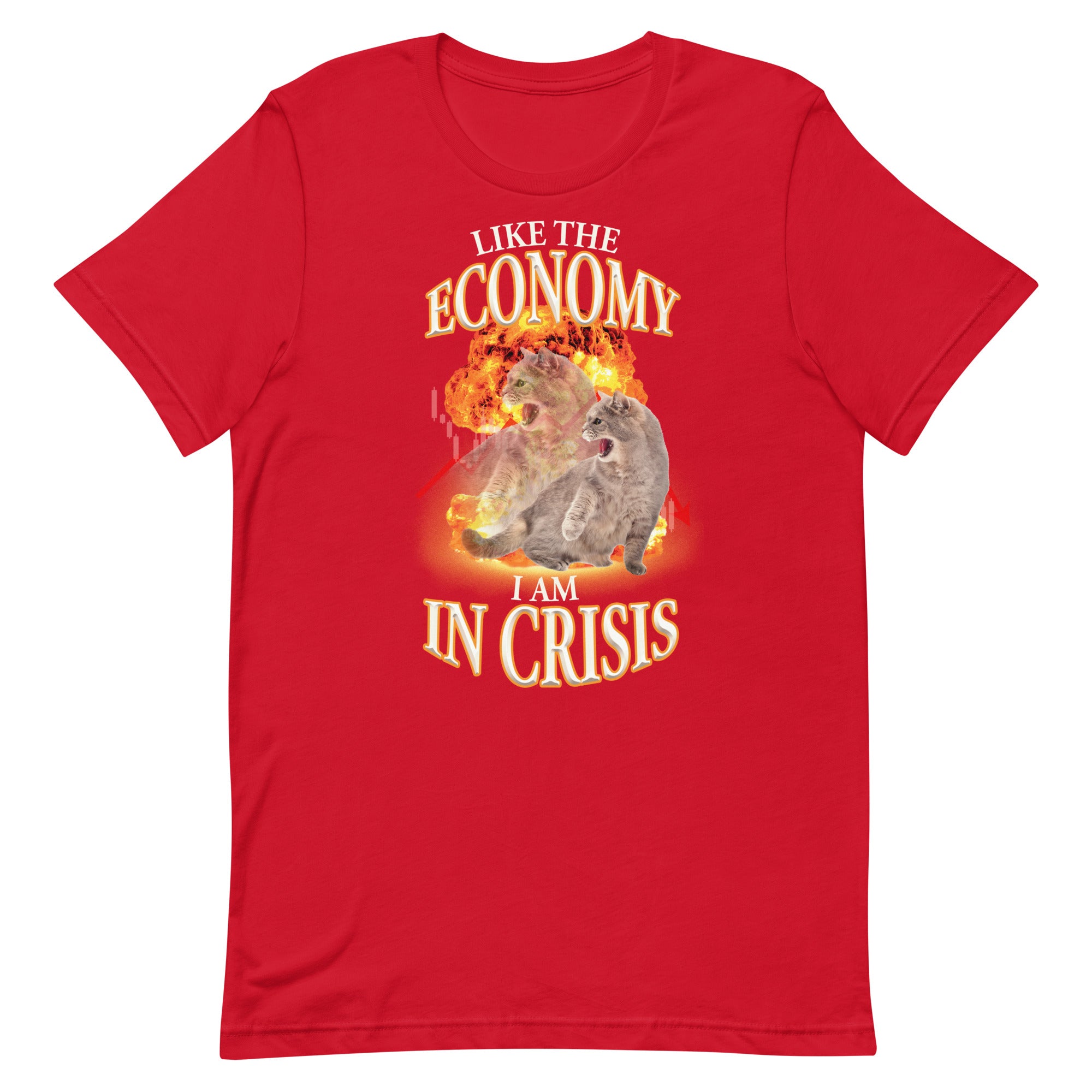 Like the Economy I Am in Crisis Unisex t-shirt