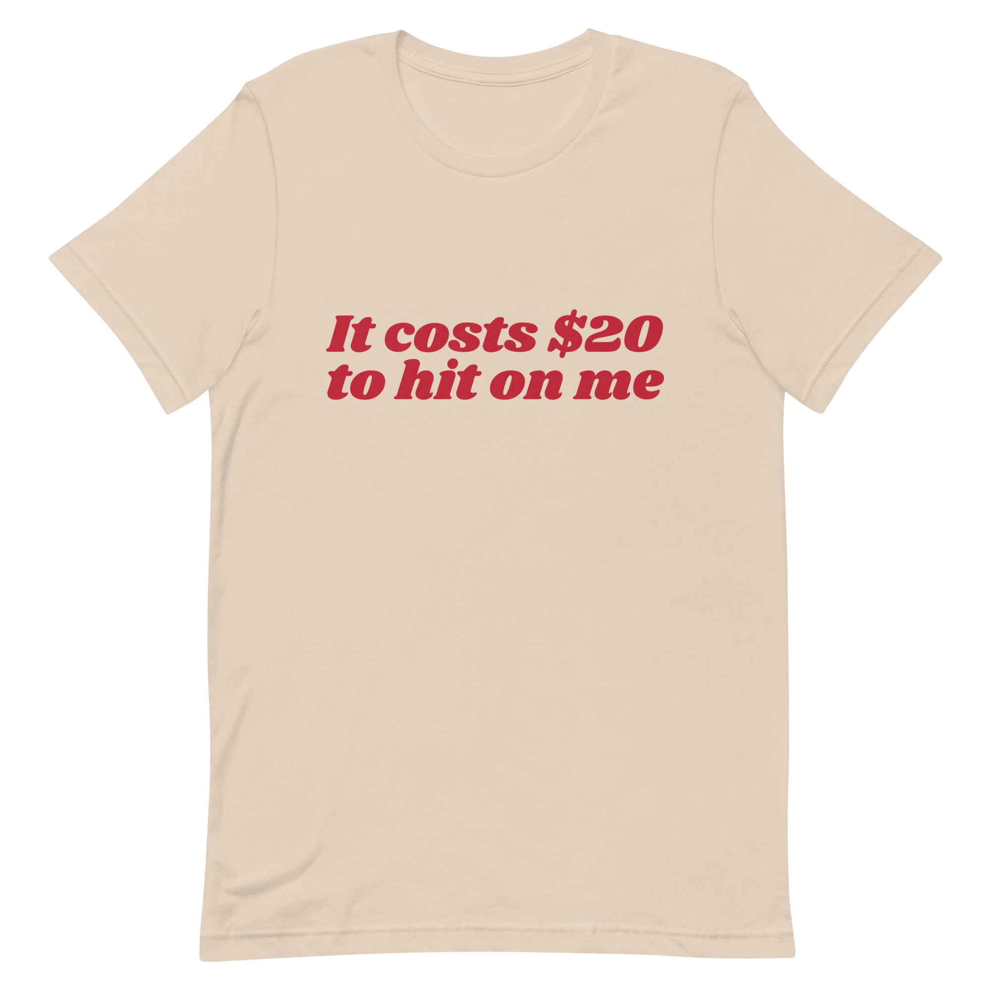 It Costs $20 to Hit on Me Unisex t-shirt