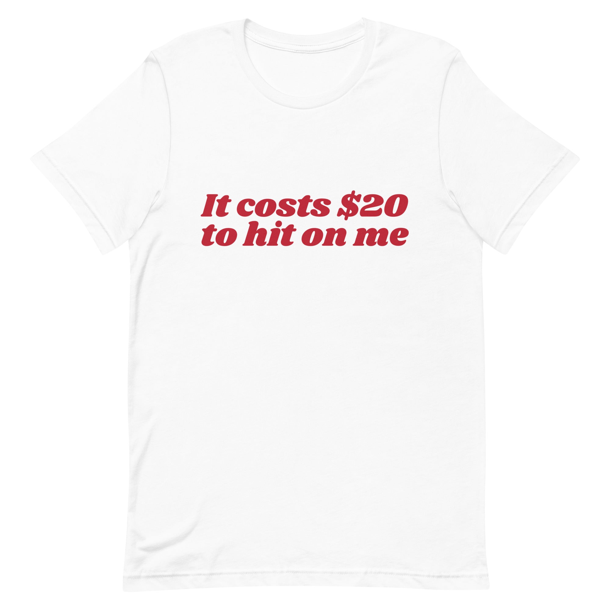 It Costs $20 to Hit on Me Unisex t-shirt