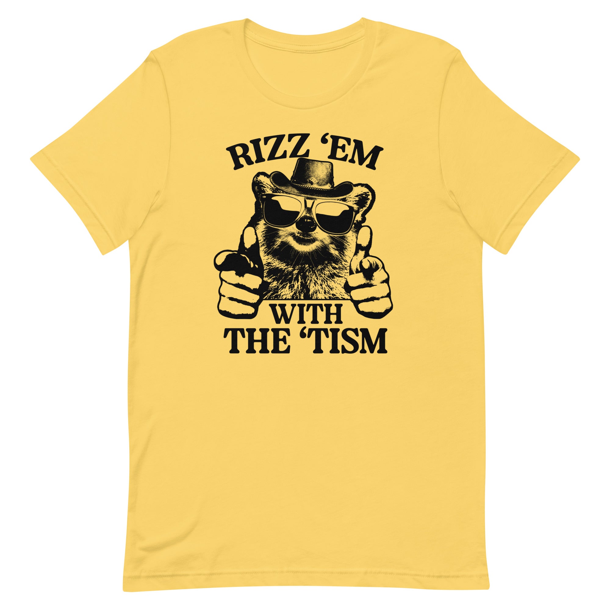 Rizz 'Em With the 'Tism (Raccoon) Unisex t-shirt