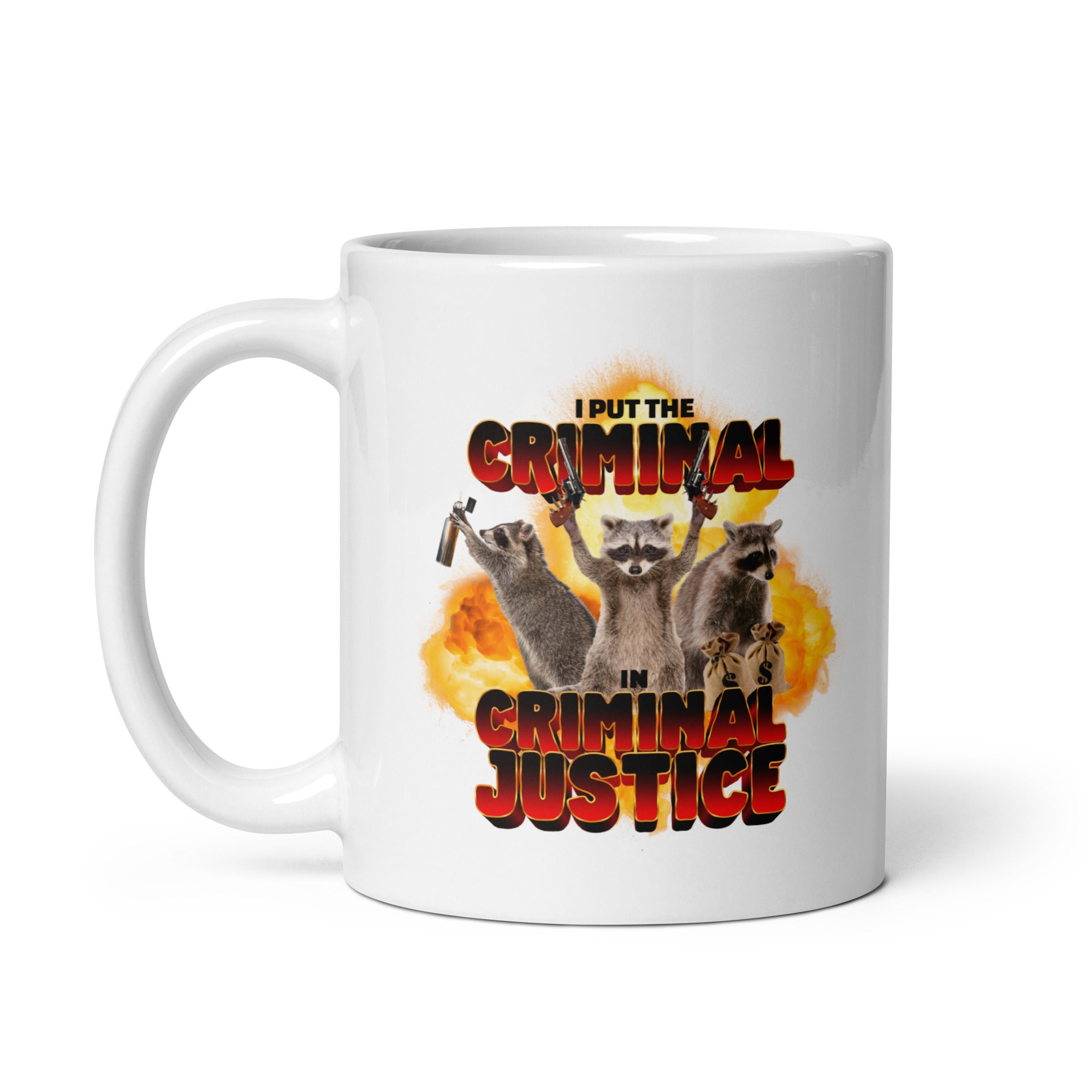 I Put the Criminal in Criminal Justice mug