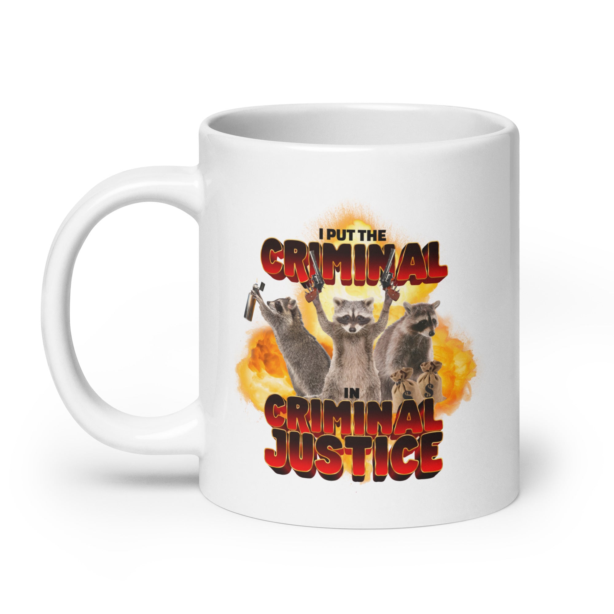 I Put the Criminal in Criminal Justice mug