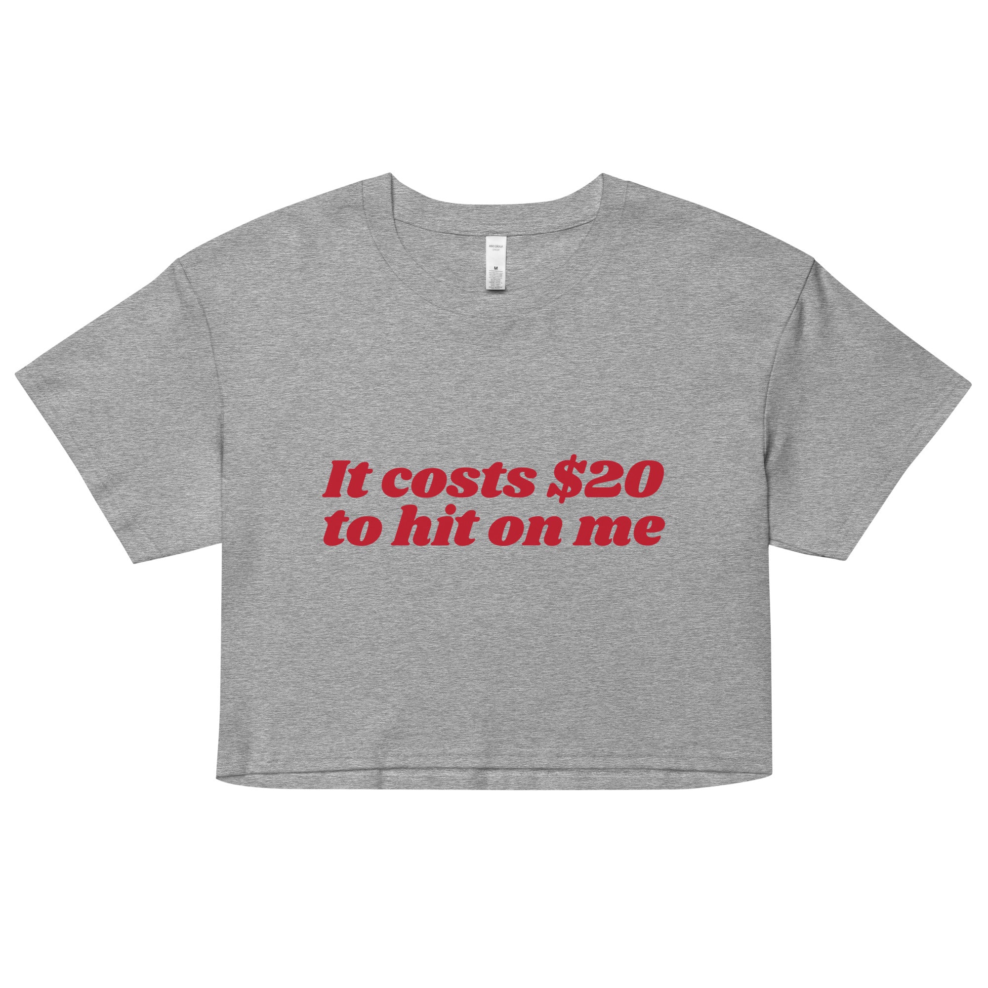 It Costs $20 to Hit on Me Women’s crop top