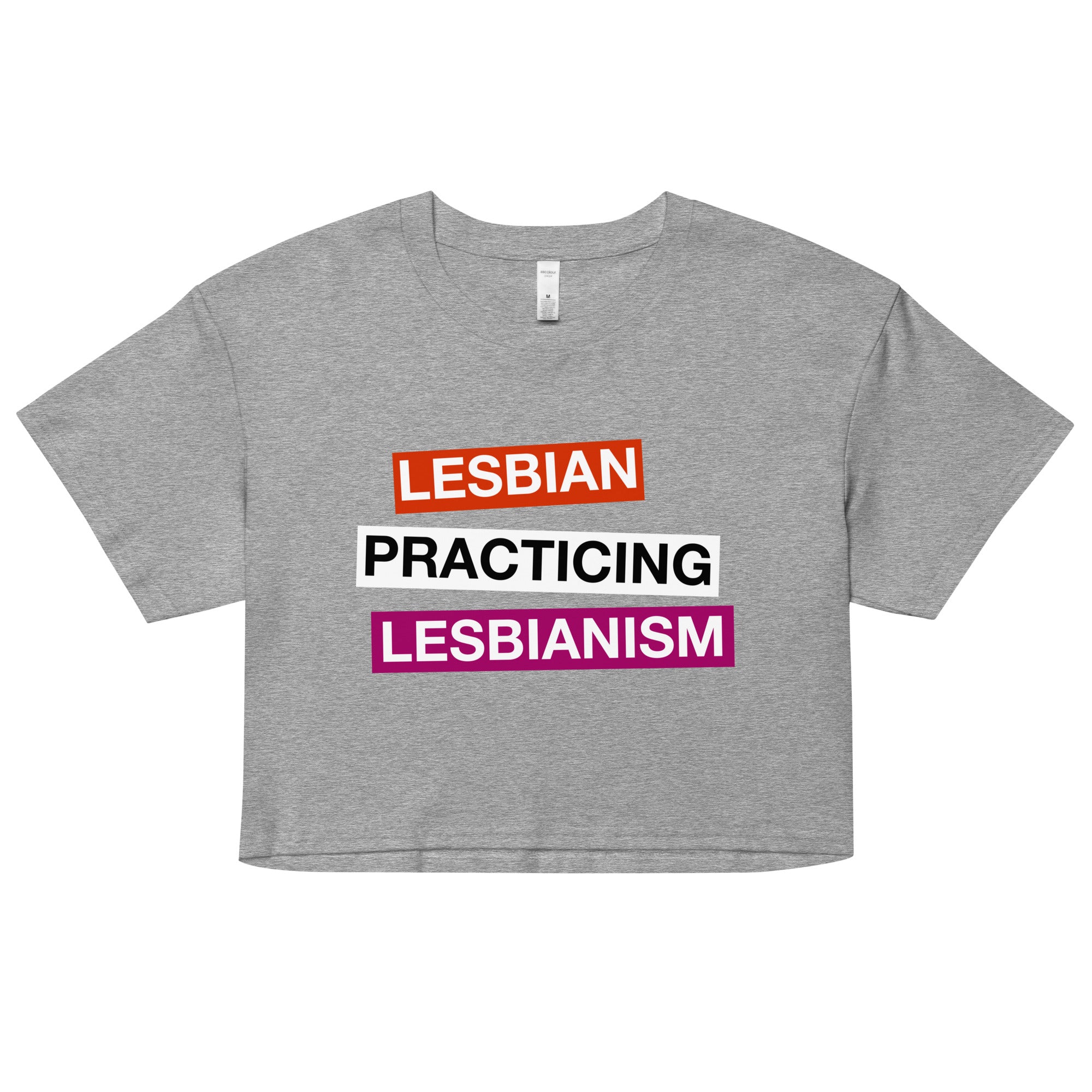 Lesbian Practicing Lesbianism (Version 2) crop top