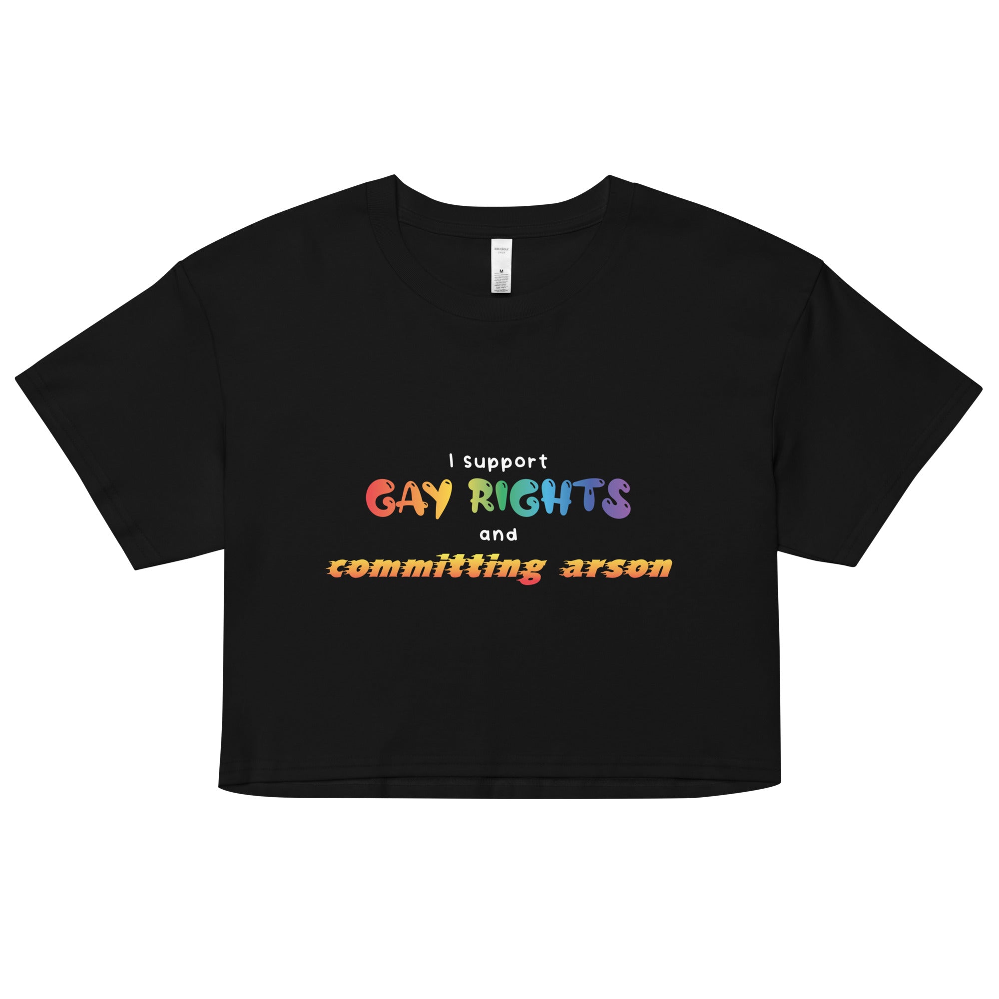 Gay Rights and Committing Arson Women’s crop top