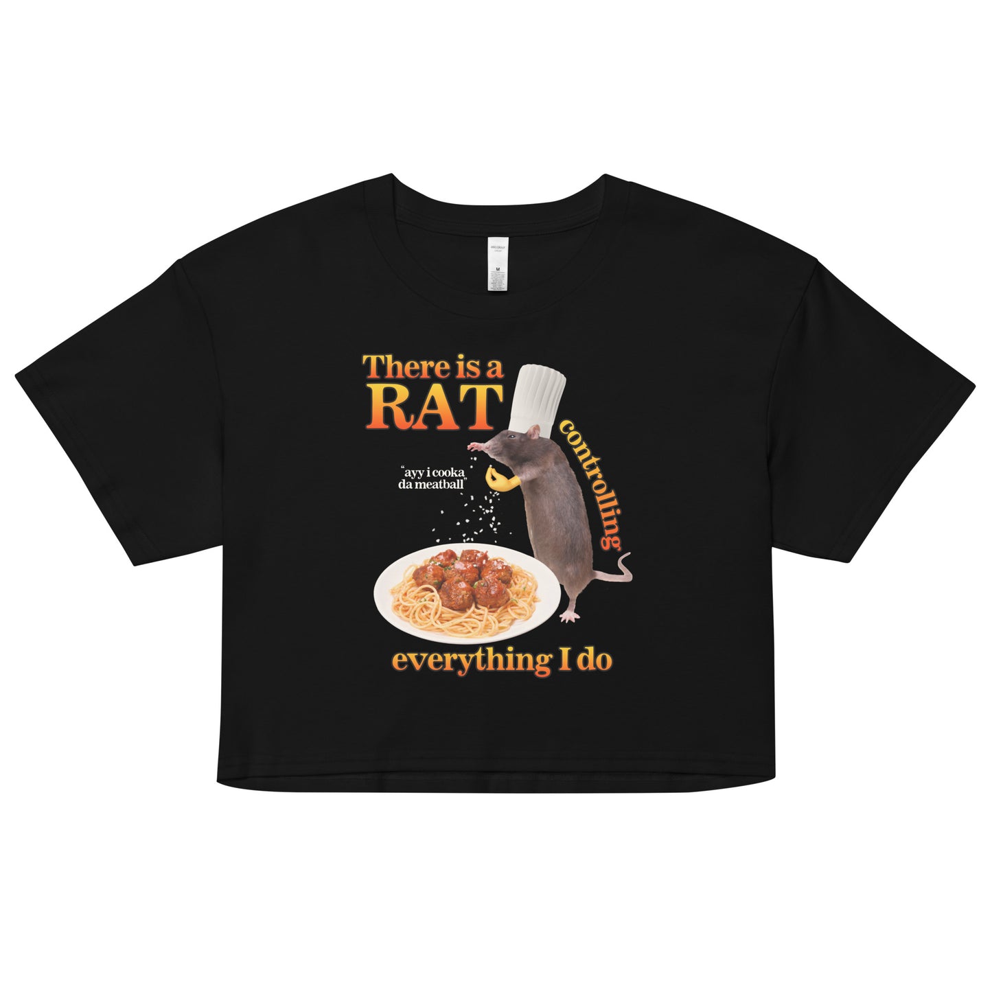 There Is A Rat Controlling Everything crop top