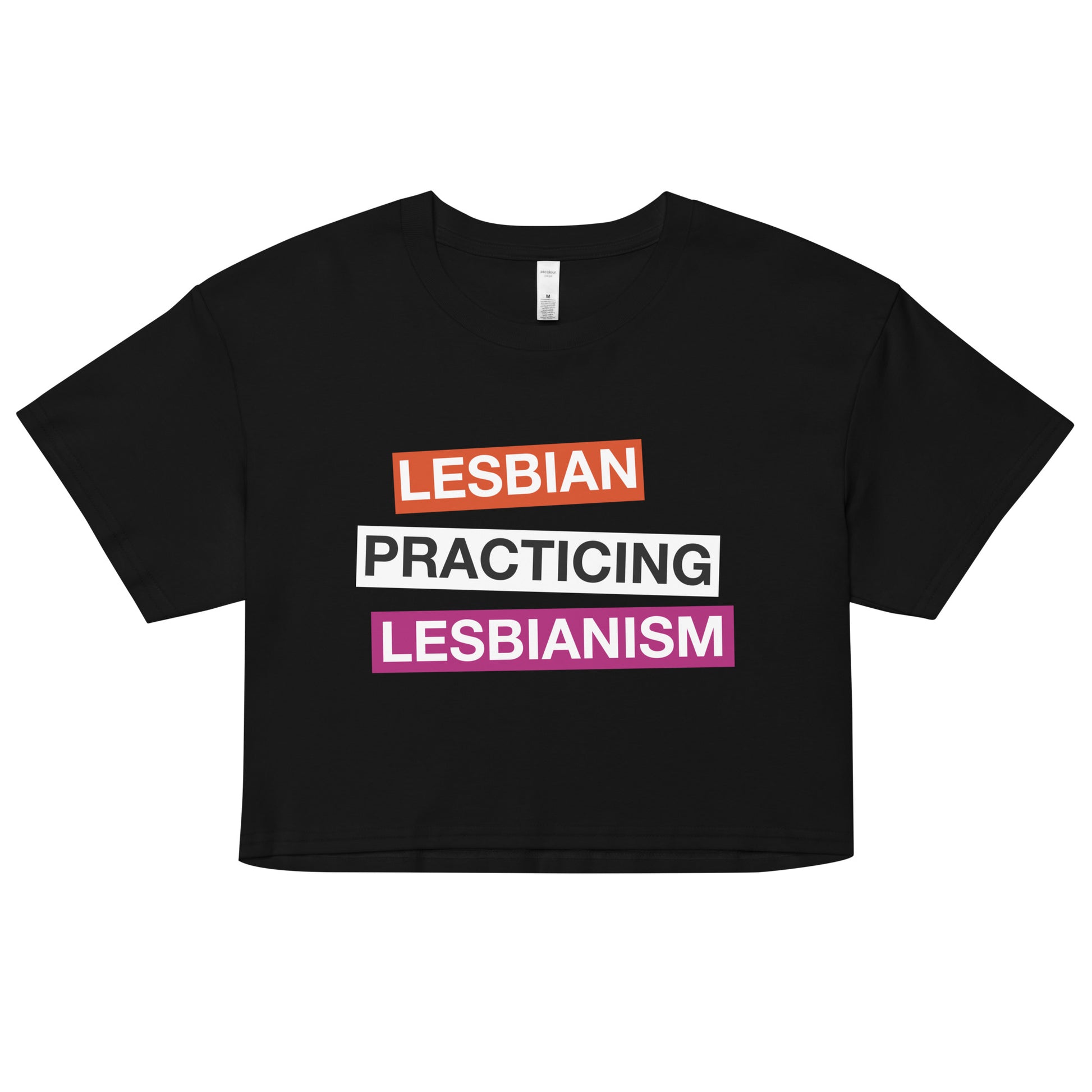 Lesbian Practicing Lesbianism (Version 2) crop top