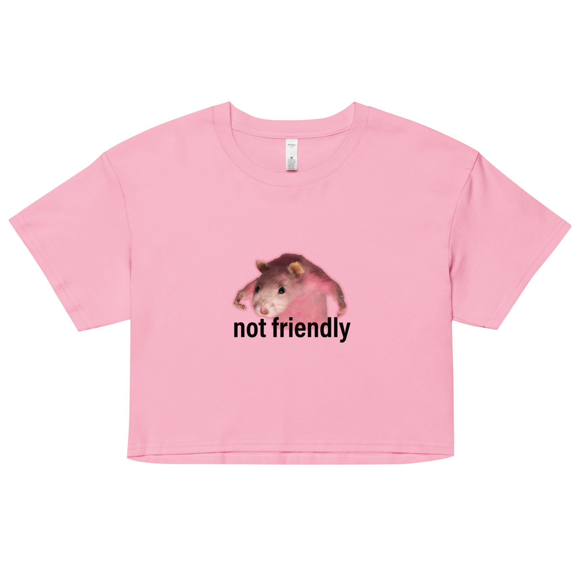 Not Friendly crop top