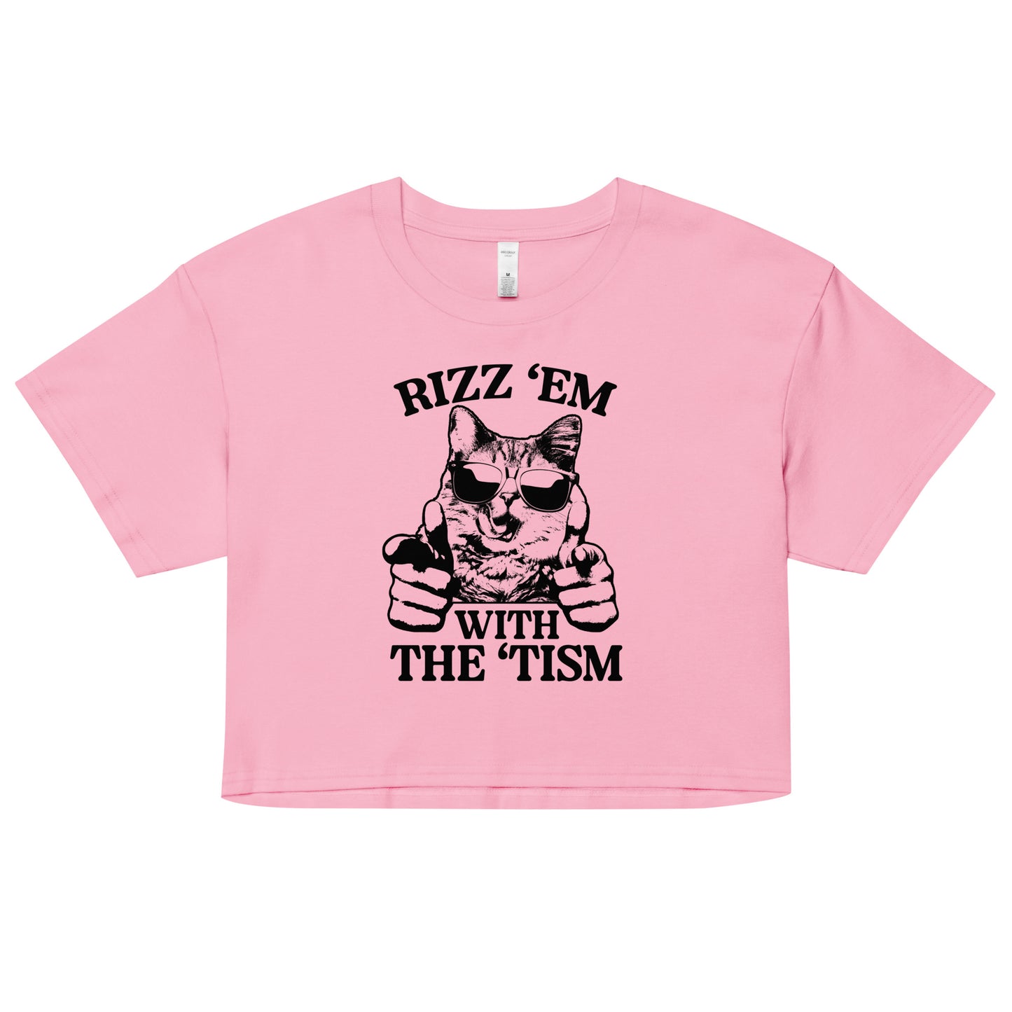 Rizz 'Em With the 'Tism (Cat) crop top