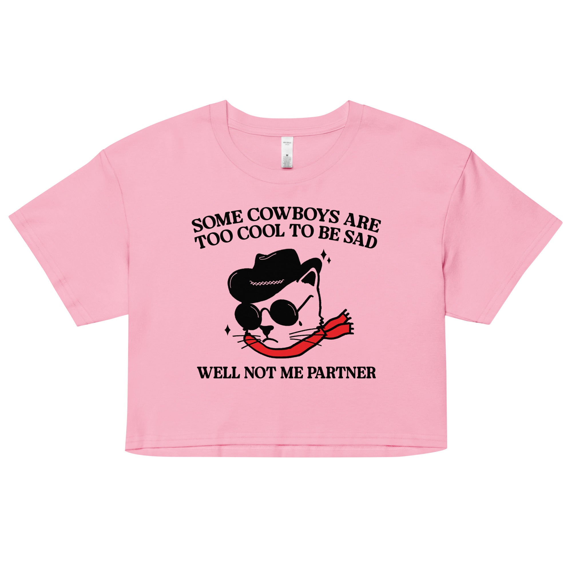 Some Cowboys Are Too Cool to be Sad crop top