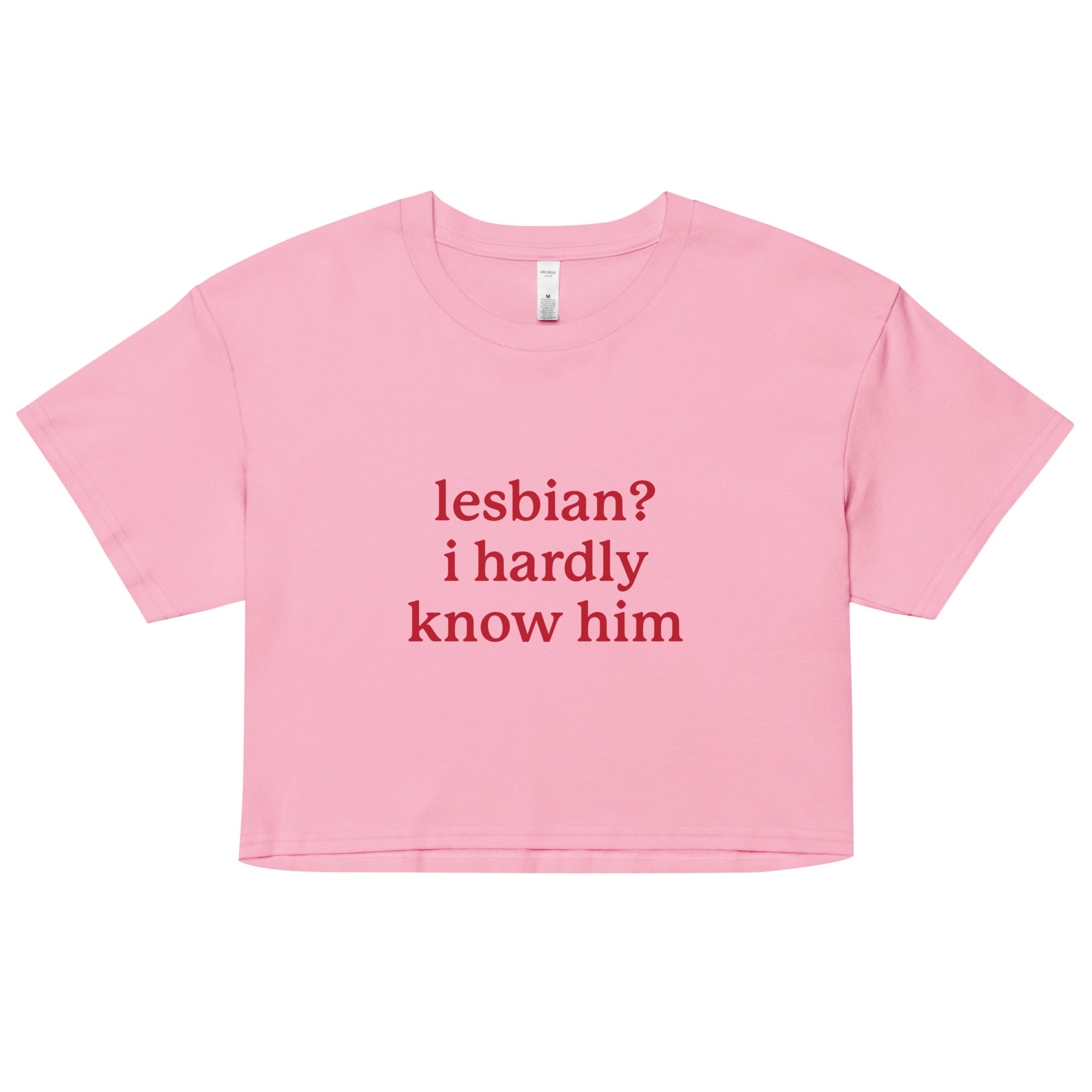 Lesbian? I Hardly Know Him crop top