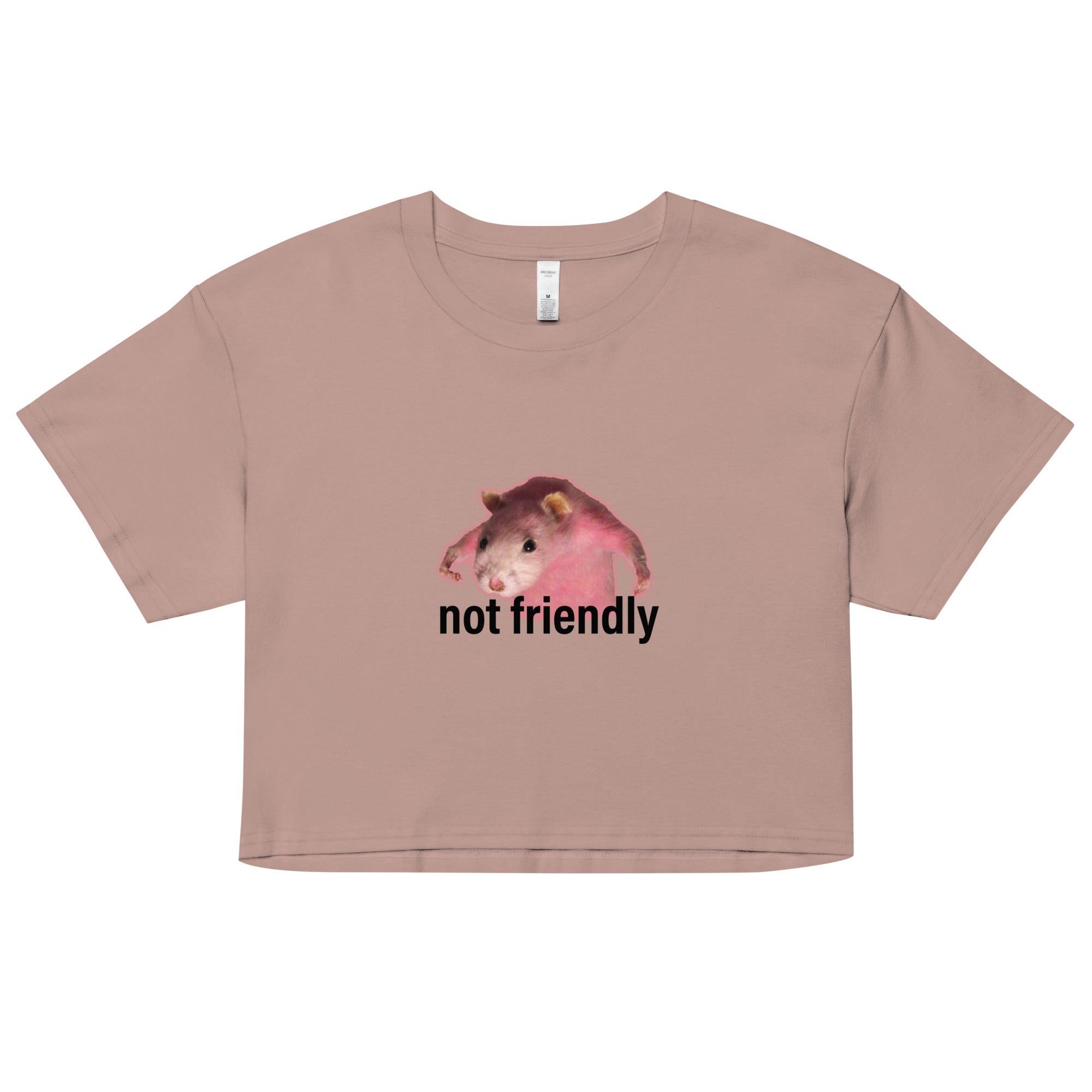 Not Friendly crop top