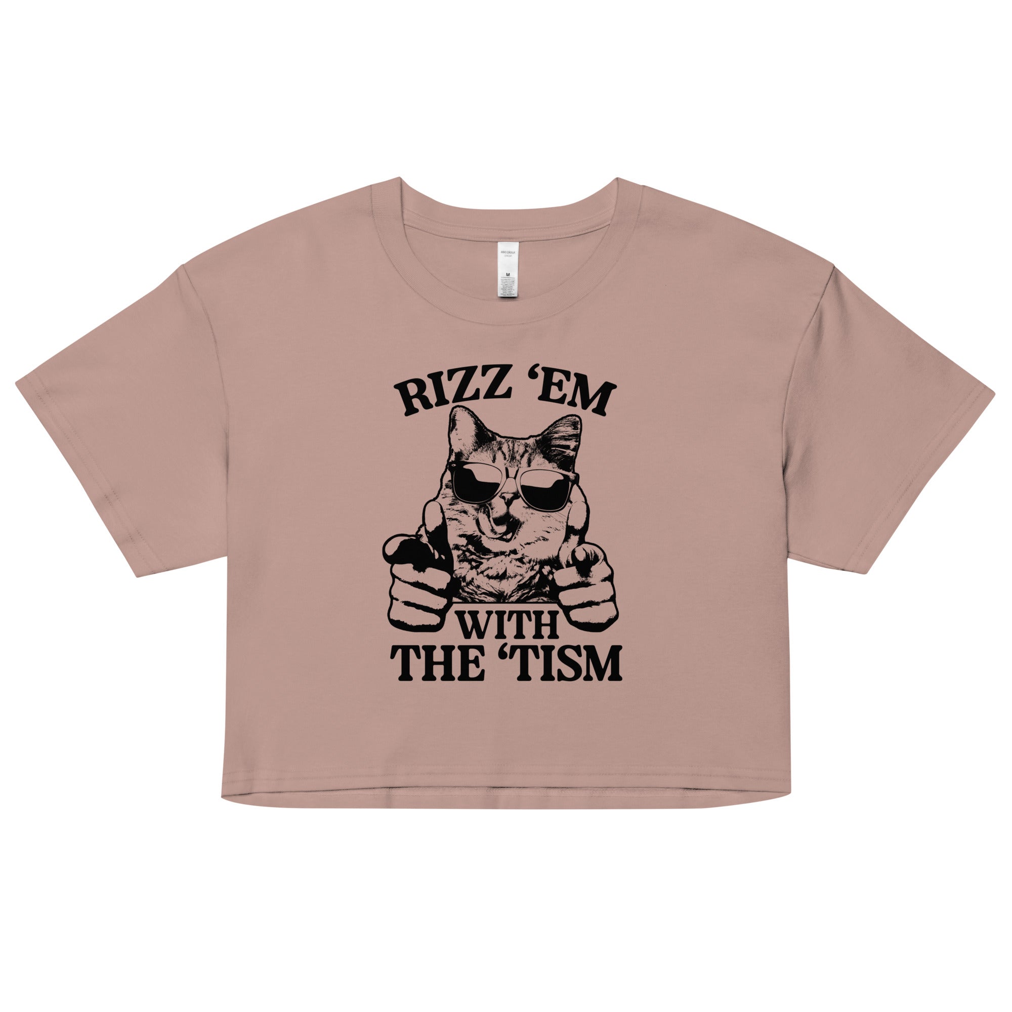 Rizz 'Em With the 'Tism (Cat) crop top