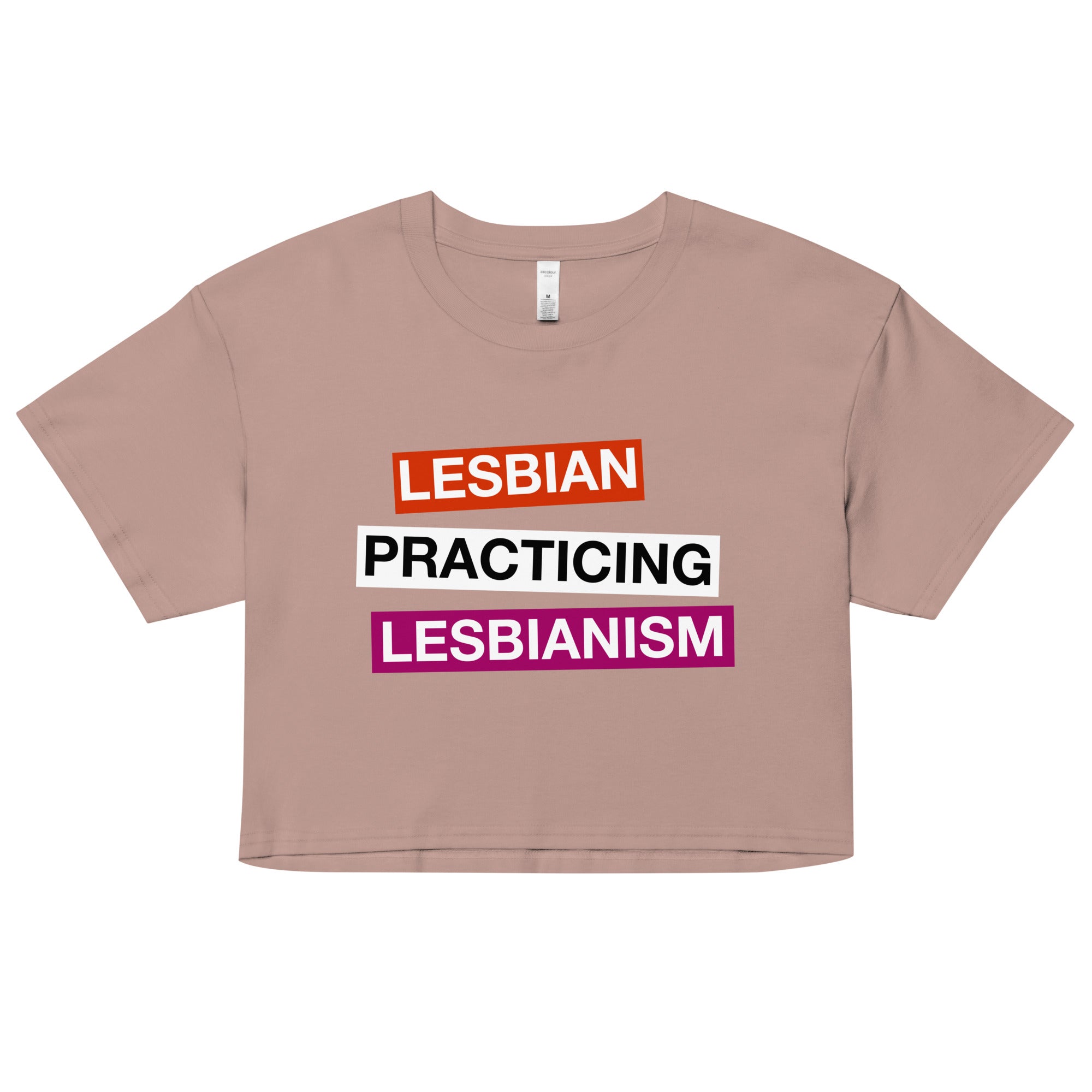 Lesbian Practicing Lesbianism (Version 2) crop top