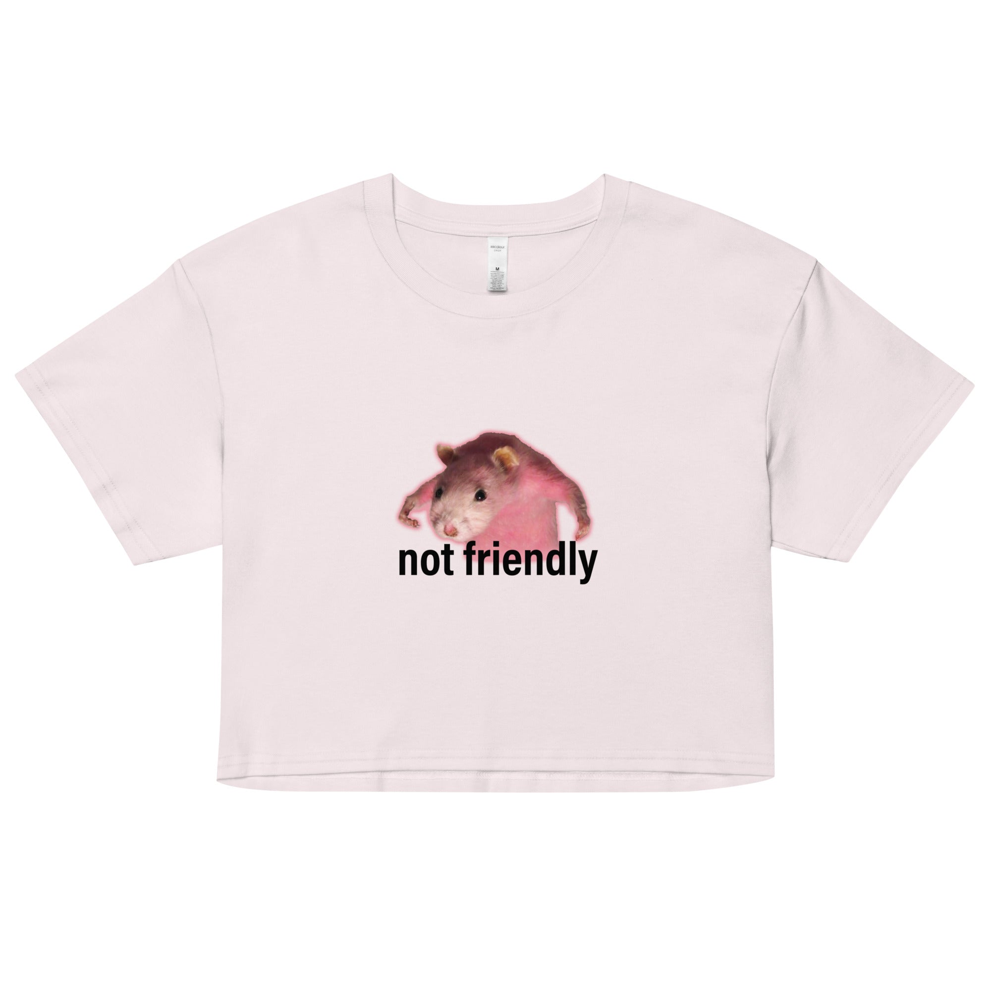 Not Friendly crop top