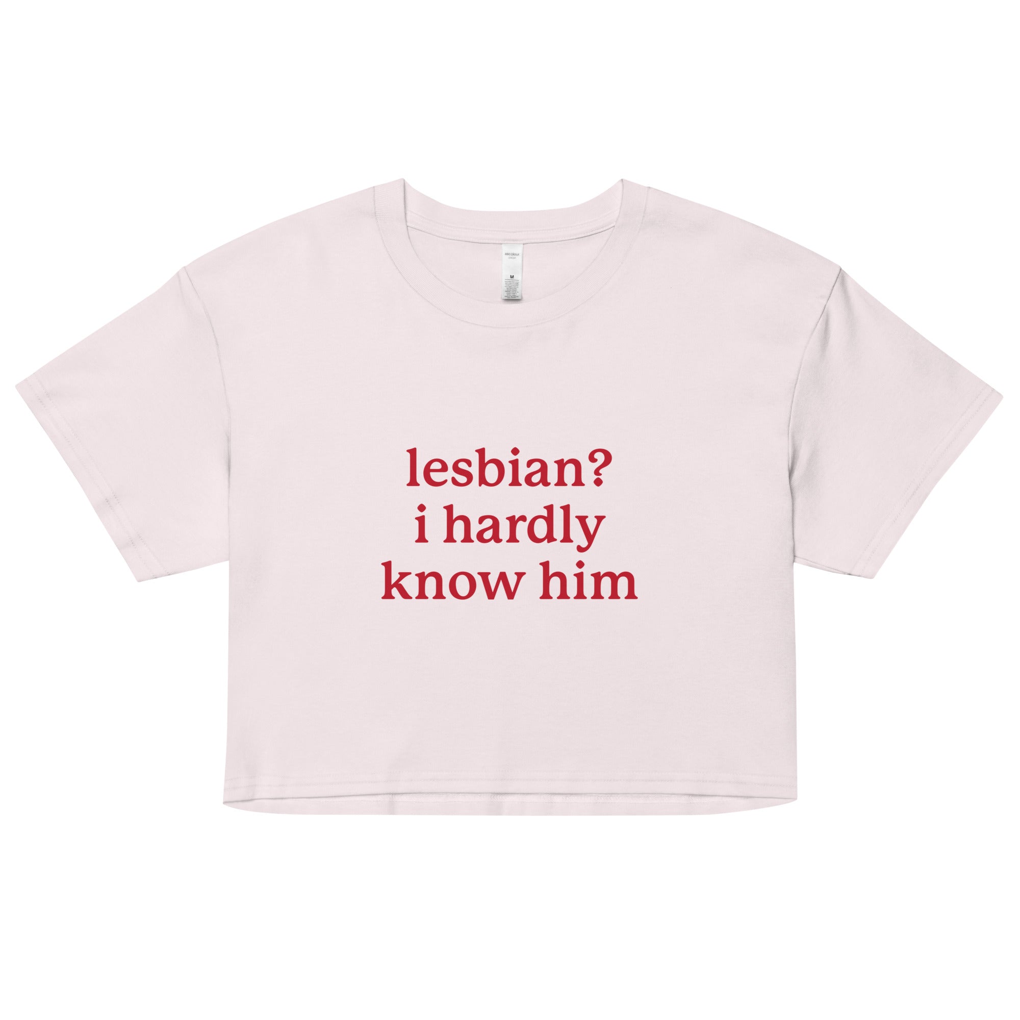 Lesbian? I Hardly Know Him crop top