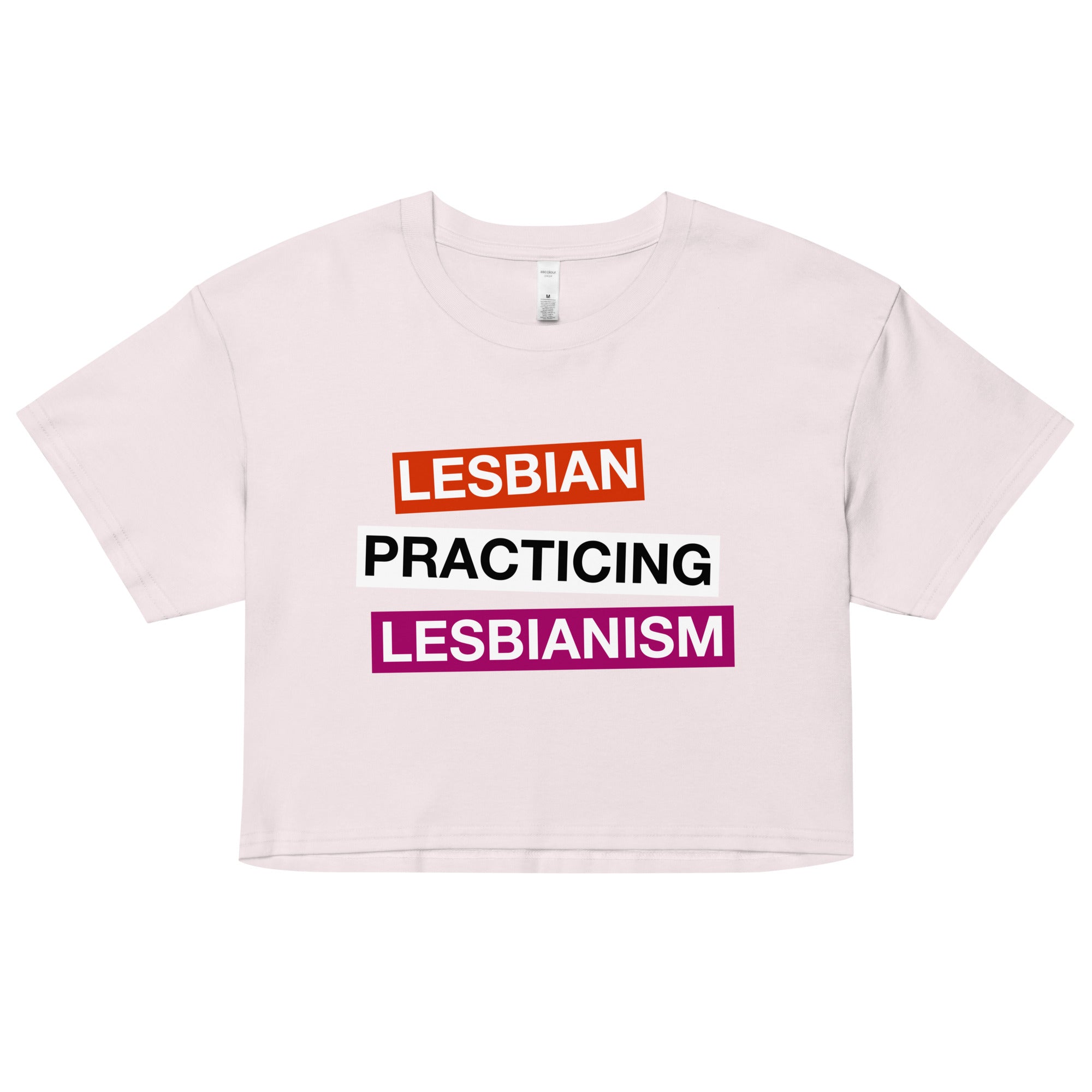 Lesbian Practicing Lesbianism (Version 2) crop top