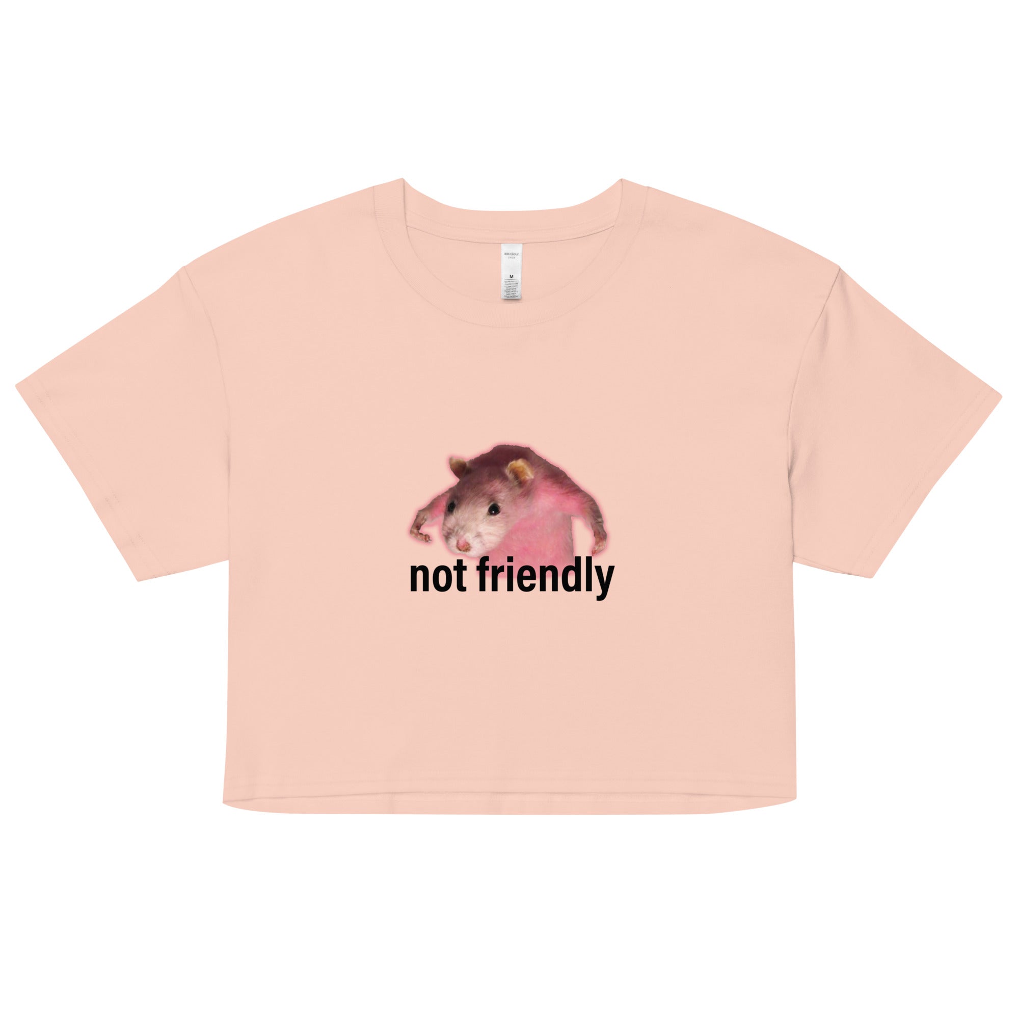 Not Friendly crop top