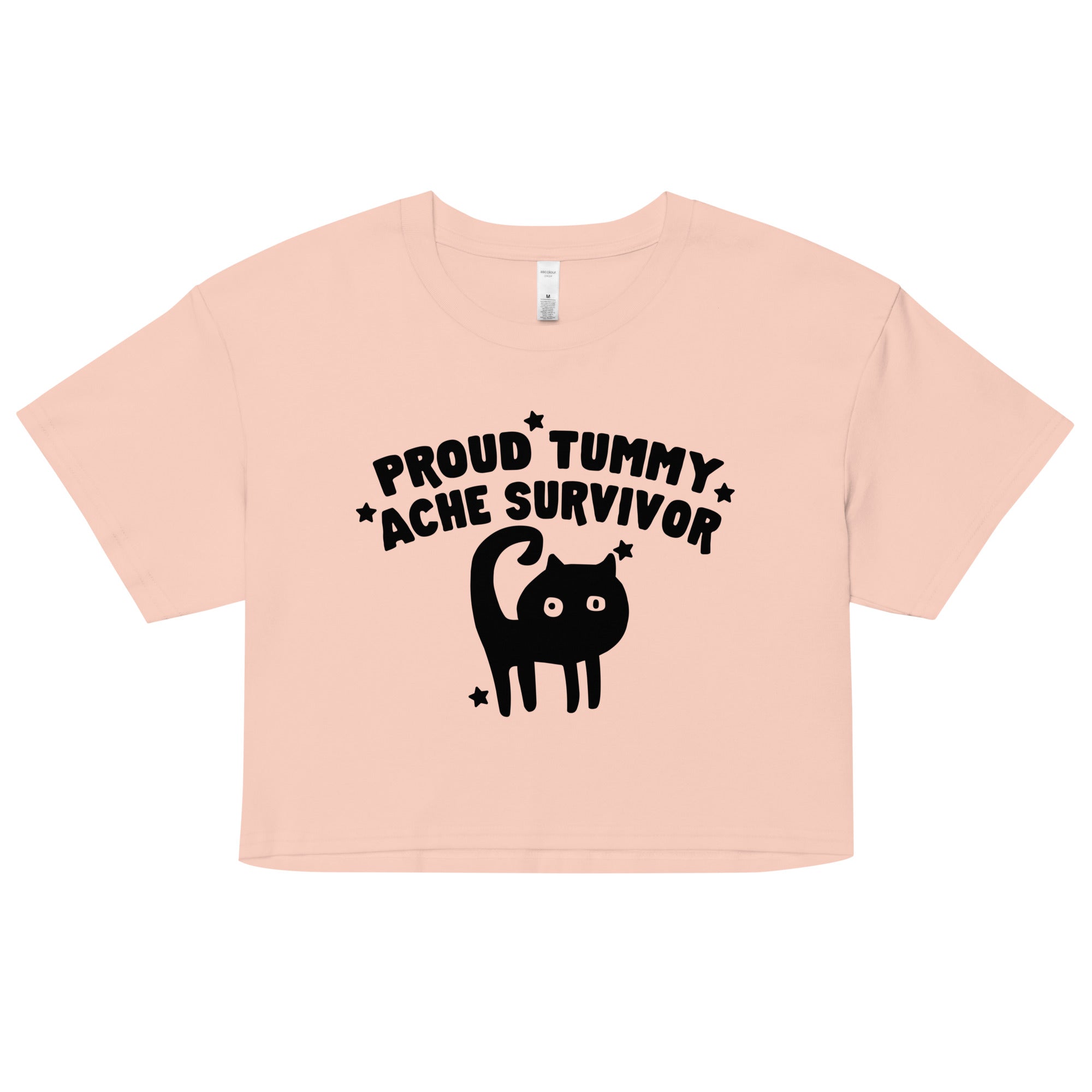 Proud Tummy Ache Survivor crop top