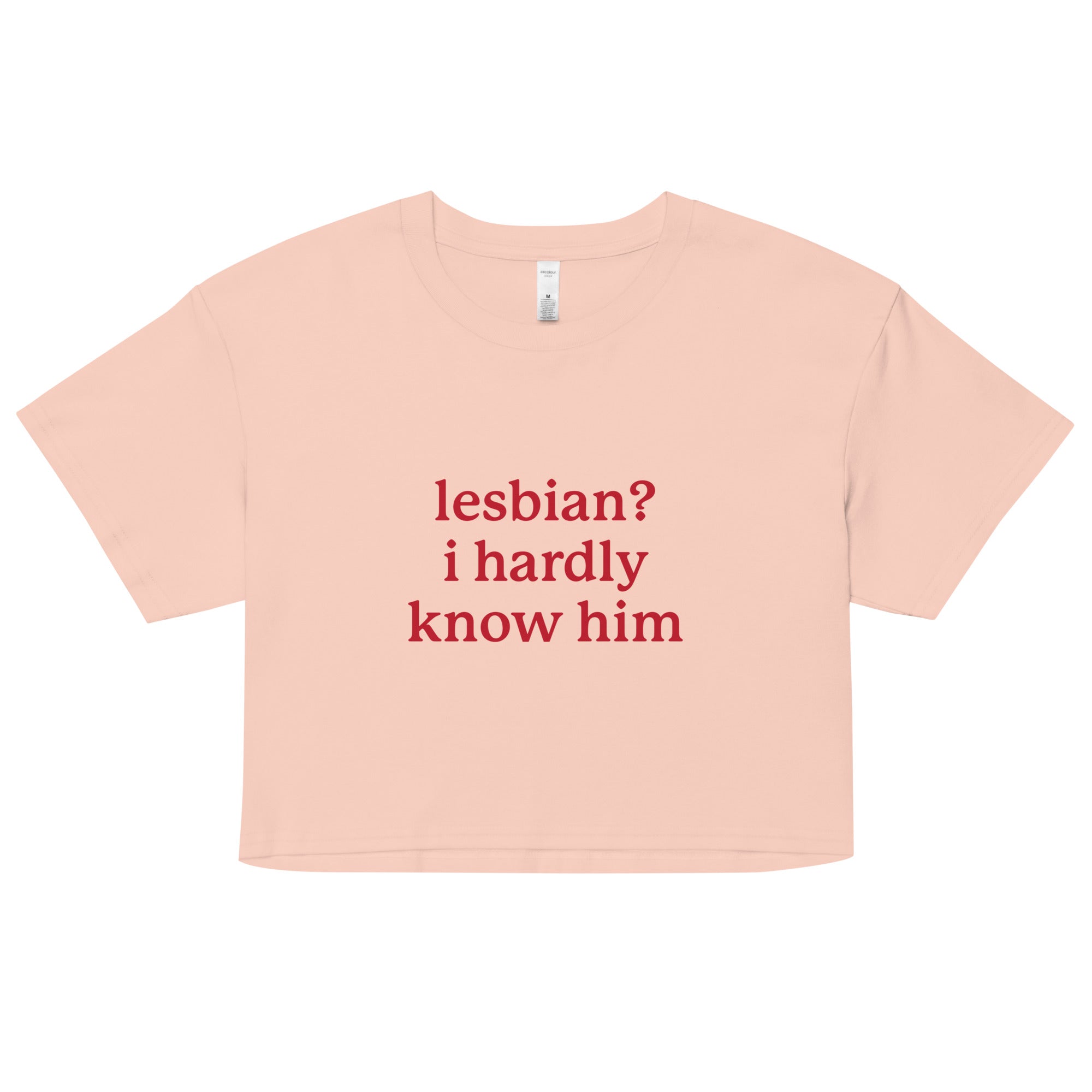 Lesbian? I Hardly Know Him crop top