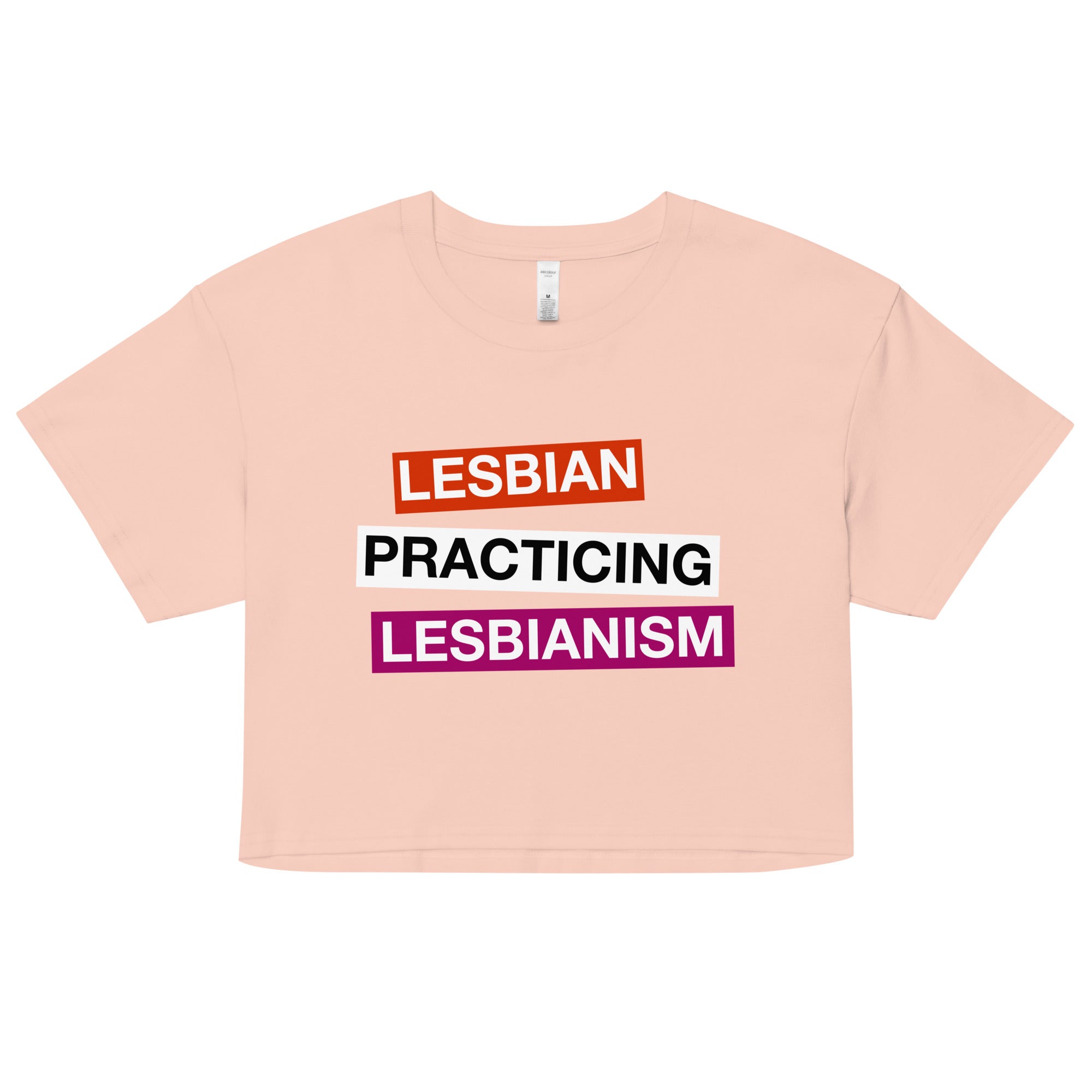 Lesbian Practicing Lesbianism (Version 2) crop top