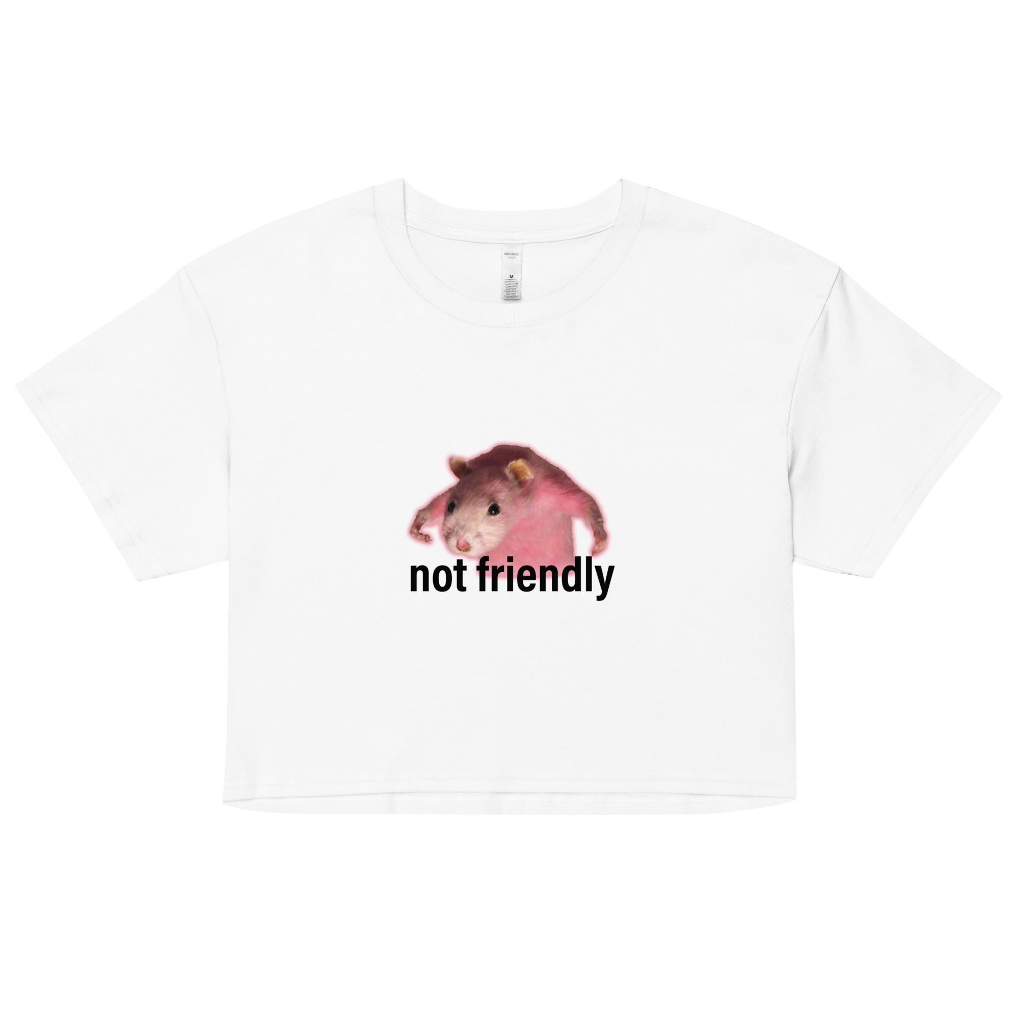 Not Friendly crop top