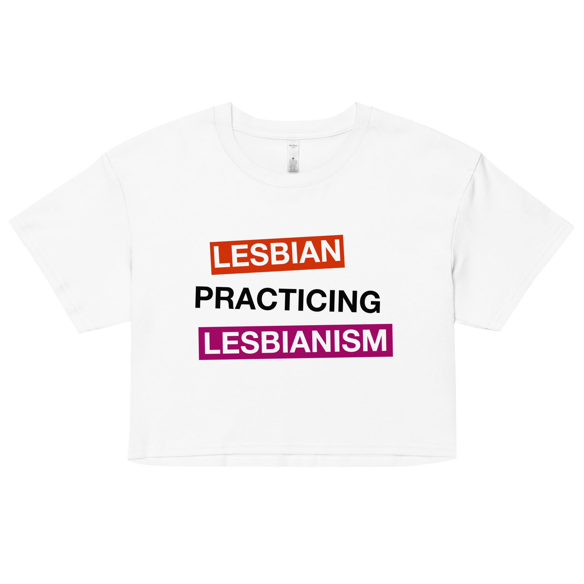 Lesbian Practicing Lesbianism (Version 2) crop top