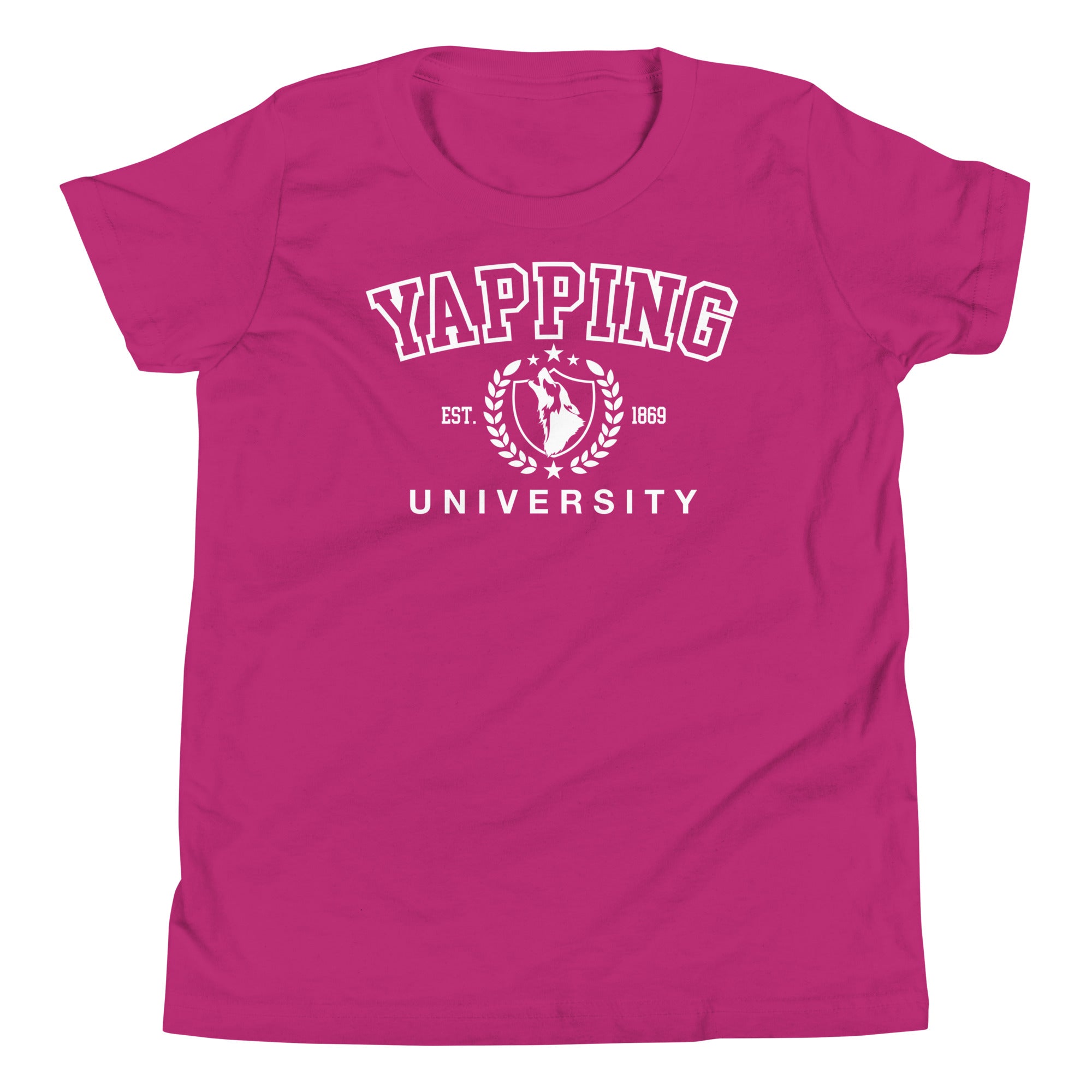 Youth Yapping University T-Shirt