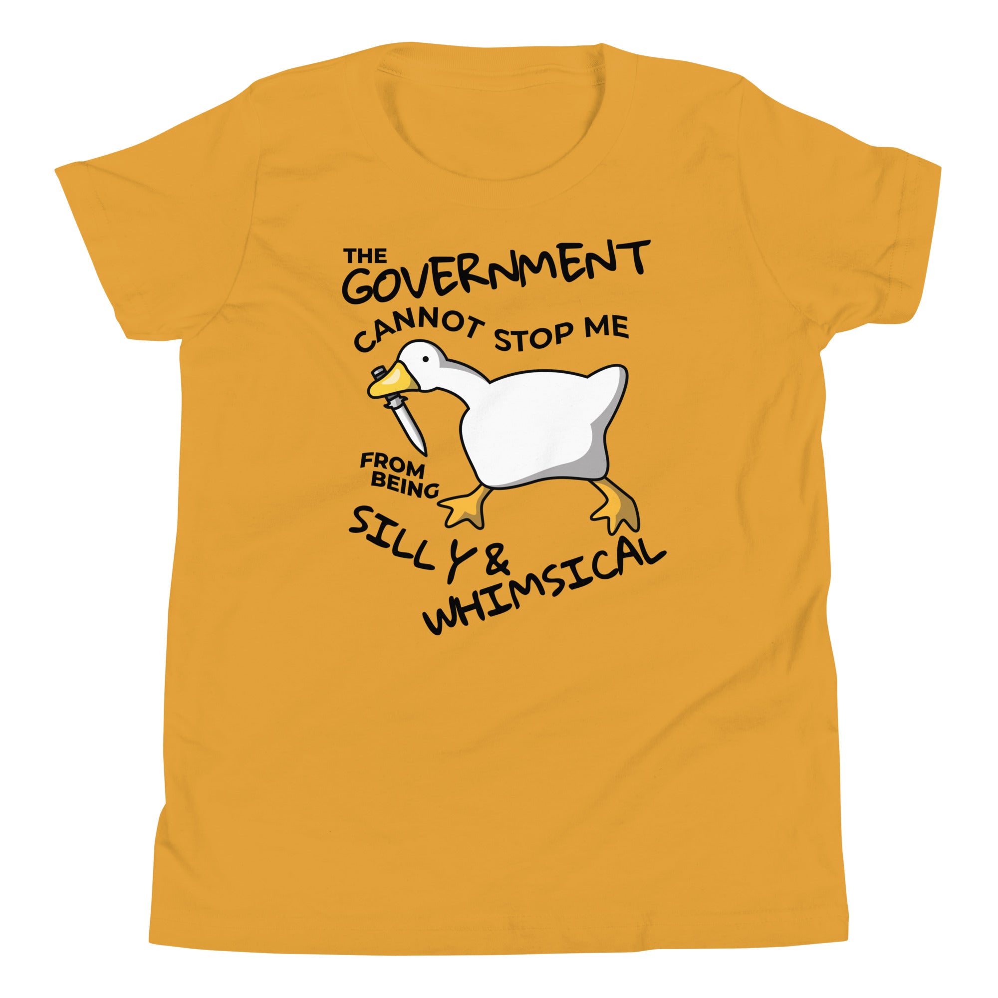 Youth The Government Cannot Stop Me From Being Silly & Whimsical T-Shirt