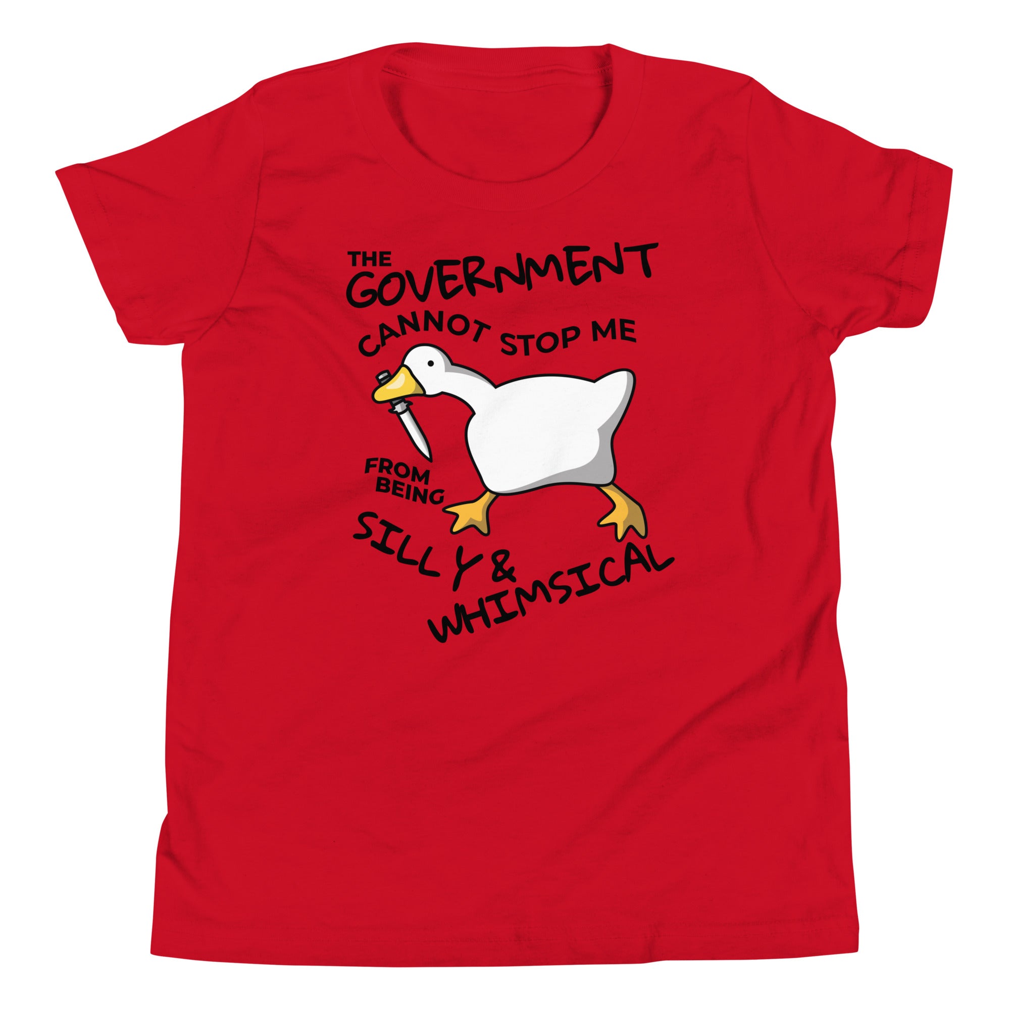 Youth The Government Cannot Stop Me From Being Silly & Whimsical T-Shirt