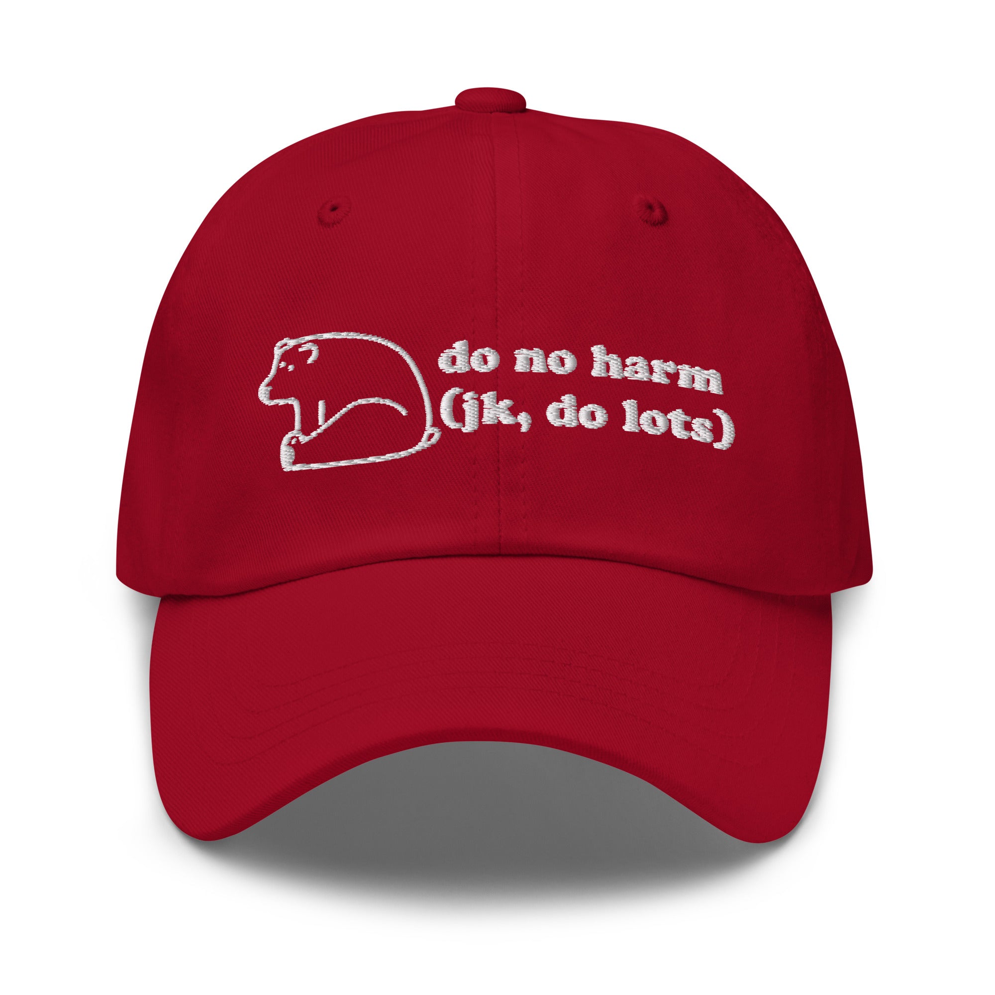 Do No Harm hat